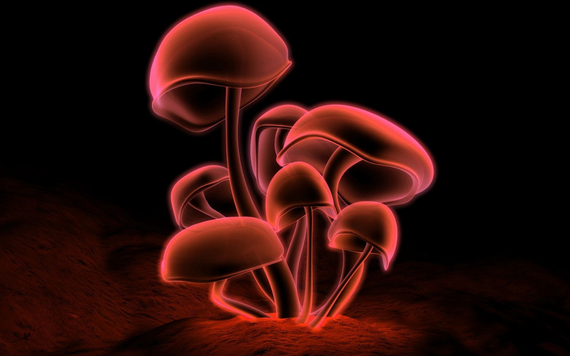 1920x1200 Collection Mushroom background, Desktop