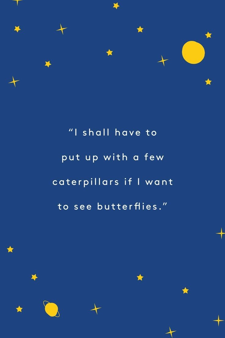 740x1110 Little prince quotes ideas. The little, Phone