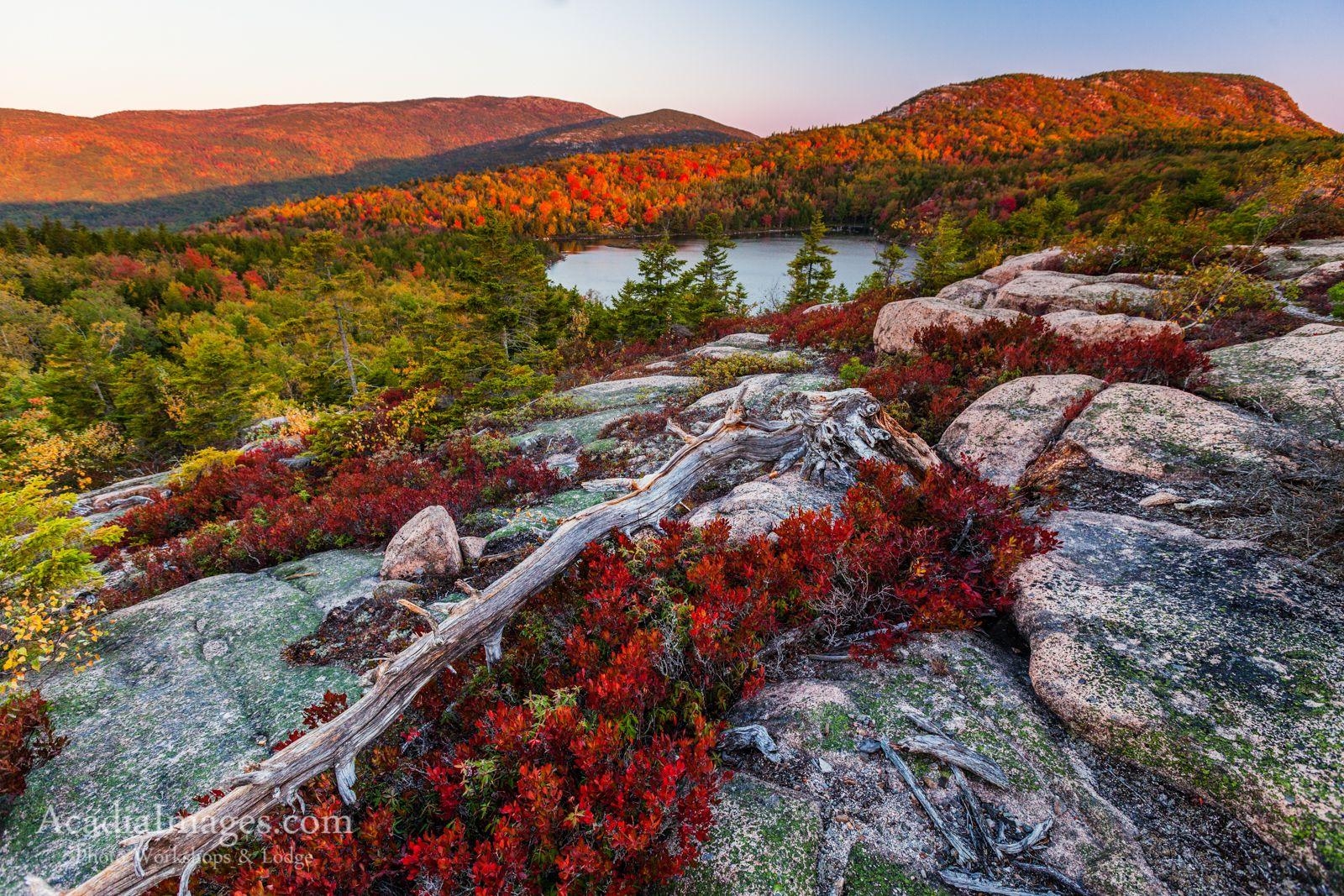 1600x1070 4 Day Fall Foliage, Desktop