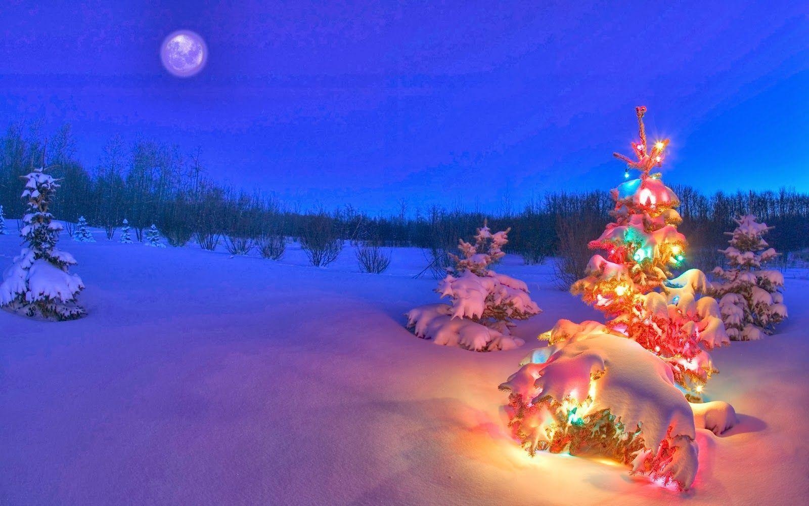 1600x1000 Snowy Christmas Night Wallpaper, Desktop