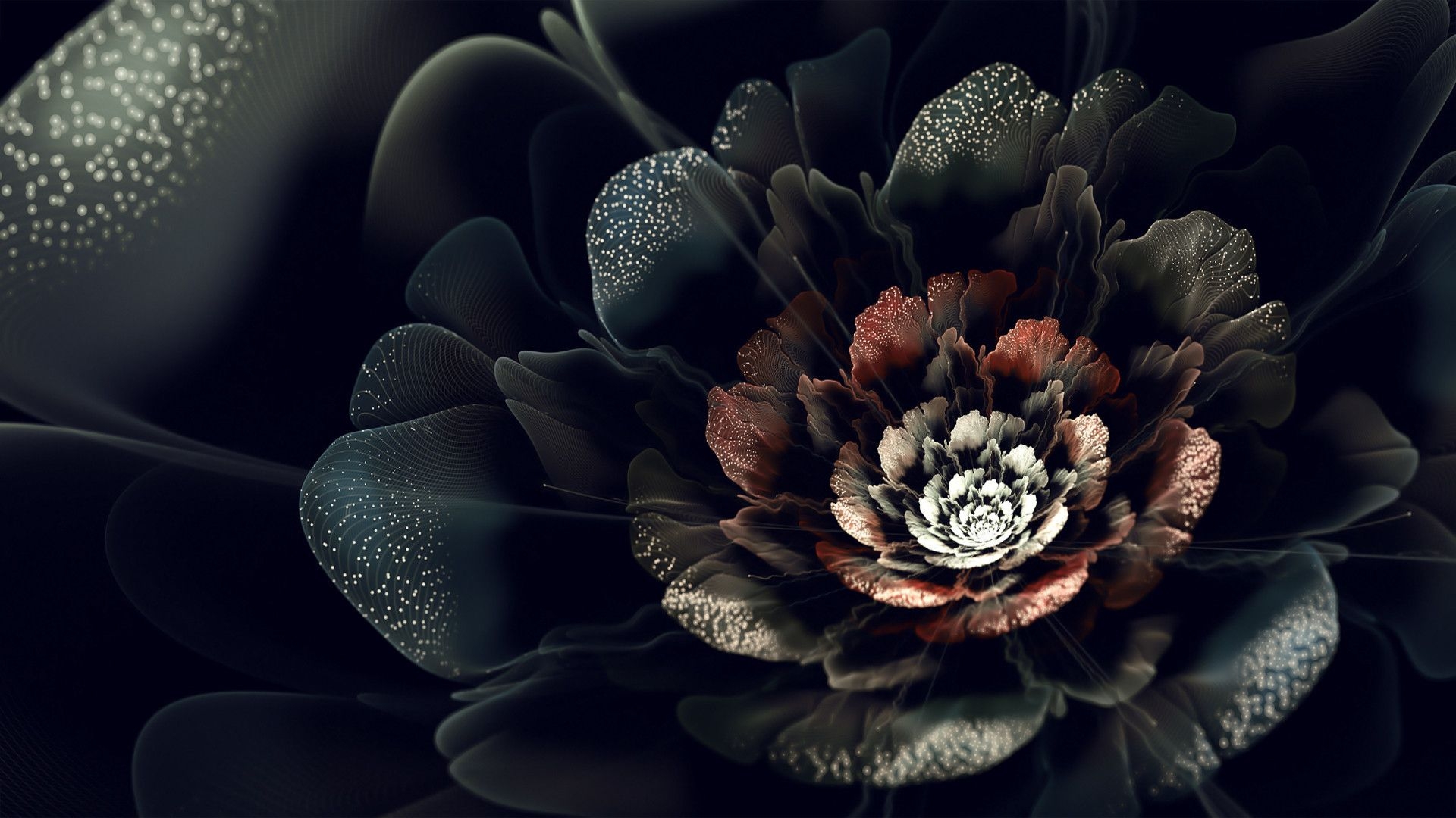 1920x1080 Black Rose Background, Desktop