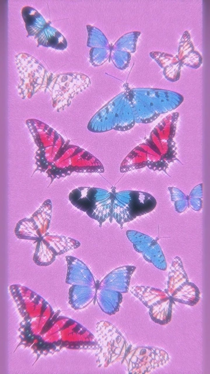 720x1280 aesthetic butterfly wallpaper ✫*, Phone