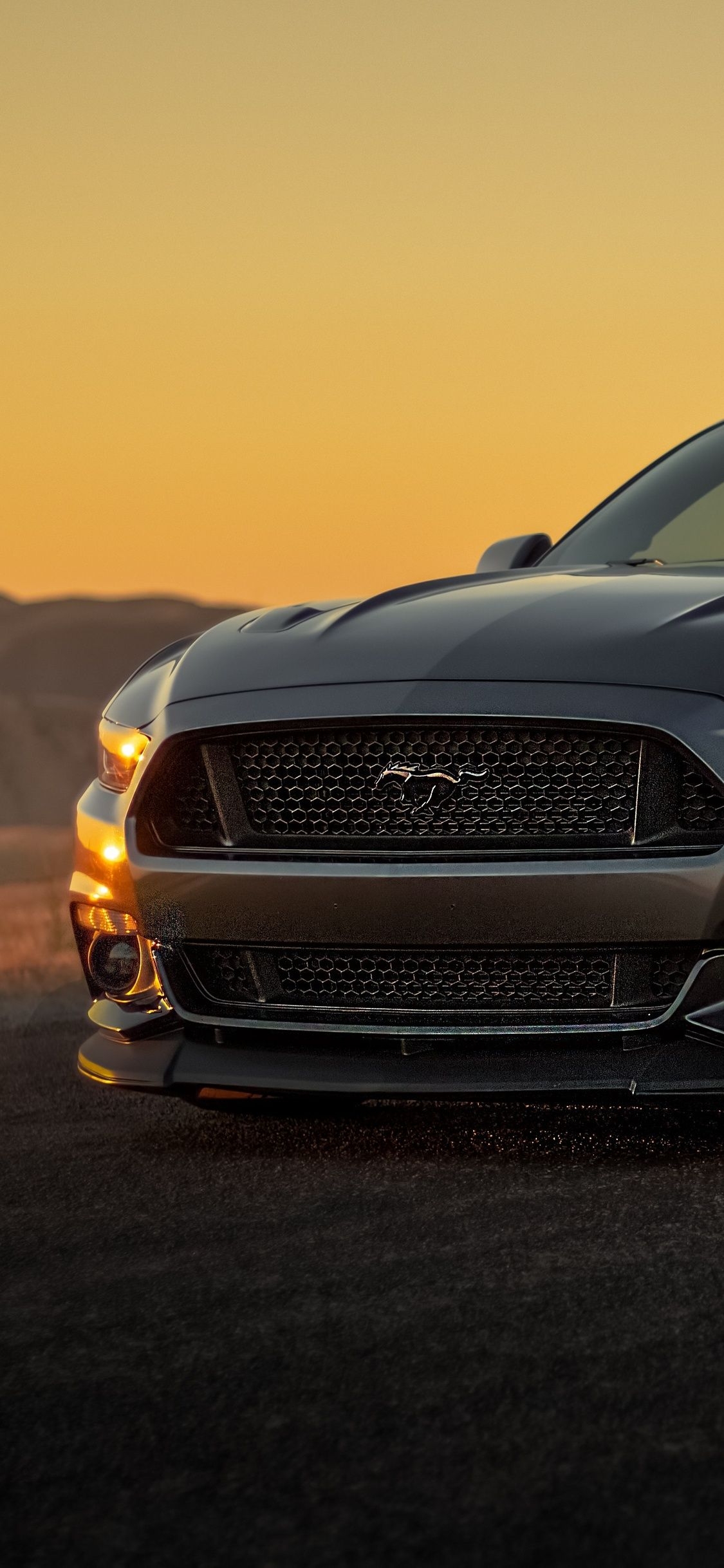 1130x2440 iPhone Black Mustang Wallpaper HD PNG, Phone