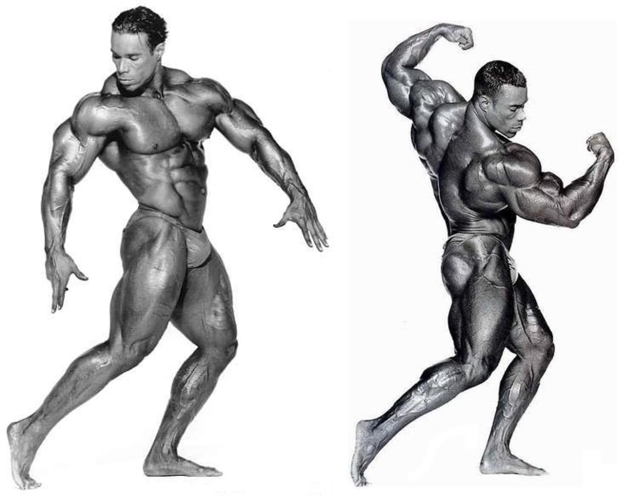 1280x1030 Muscle memories: Kevin Levrone, Desktop