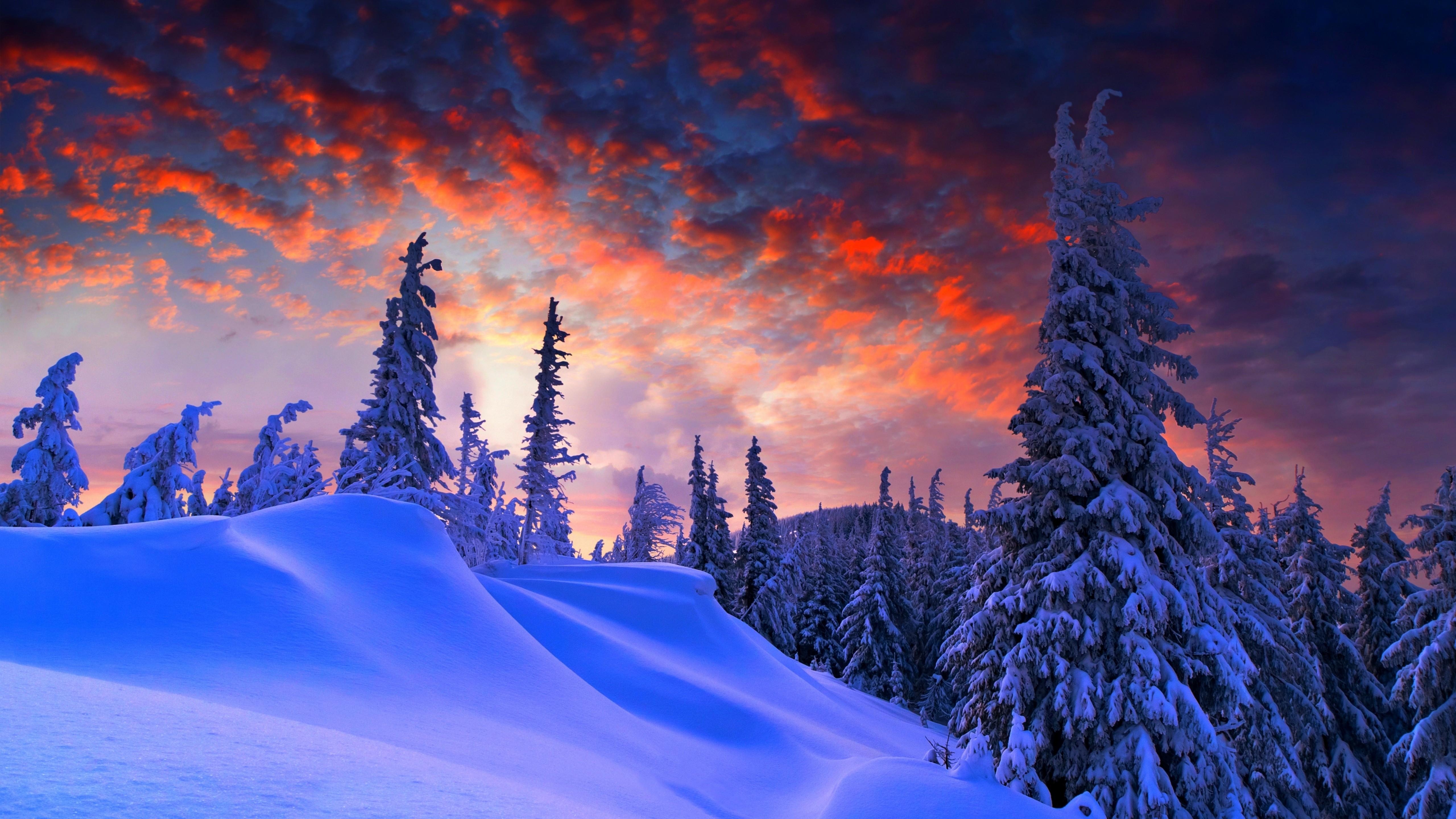 5120x2880 Wallpaper forest, snow, winter, sunrise, clouds, 8k, Nature, Desktop