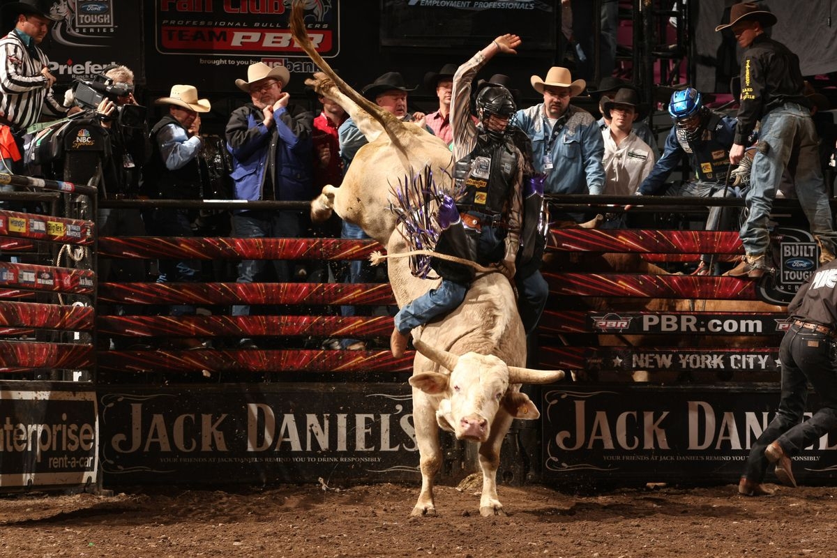 1200x800 PBR Rodeo Wallpaper. Rodeo Wallpaper, Rodeo Cowboys Wallpaper and Houston Rodeo Wallpaper, Desktop