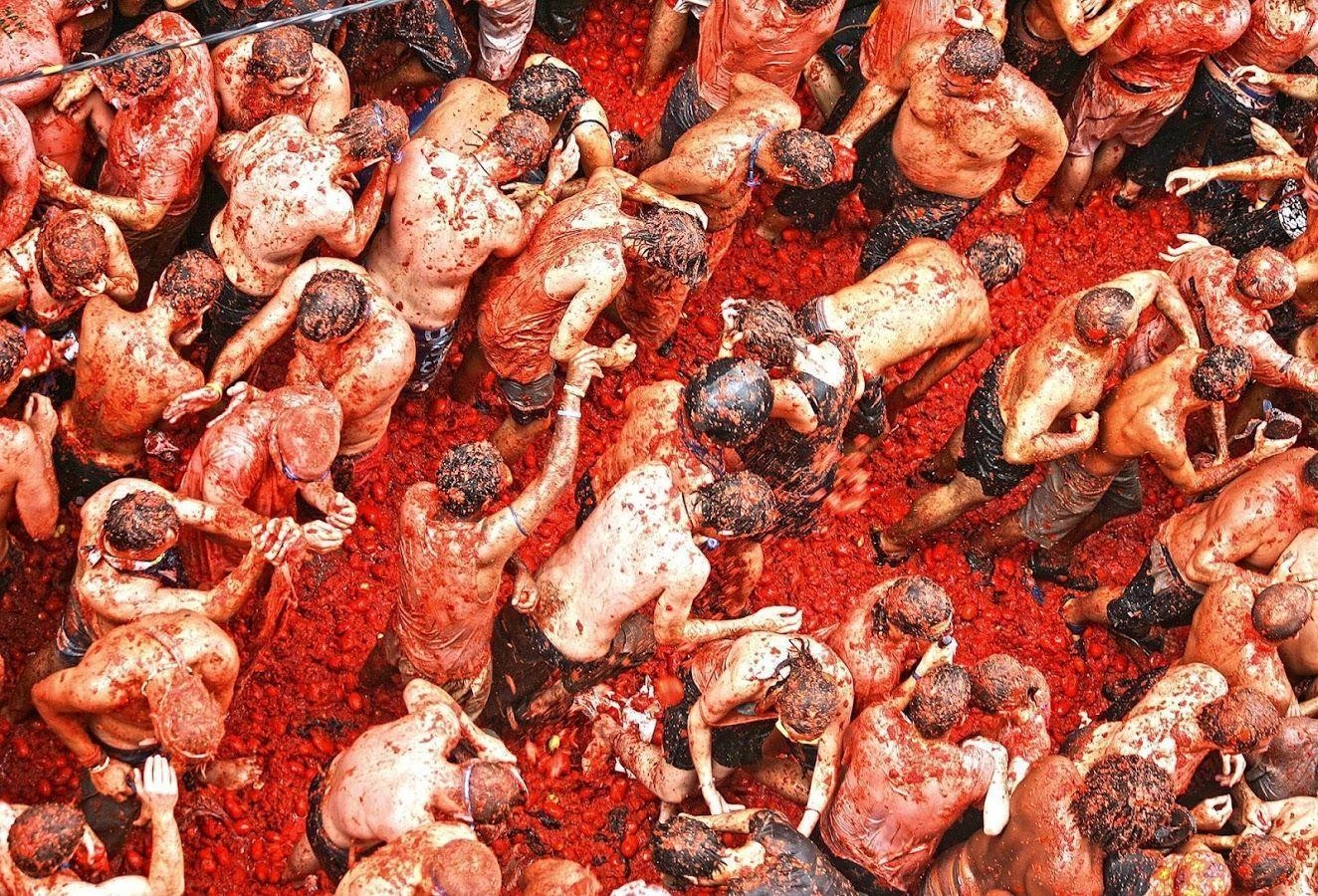 1330x900 La Tomatina Apps on Google Play, Desktop