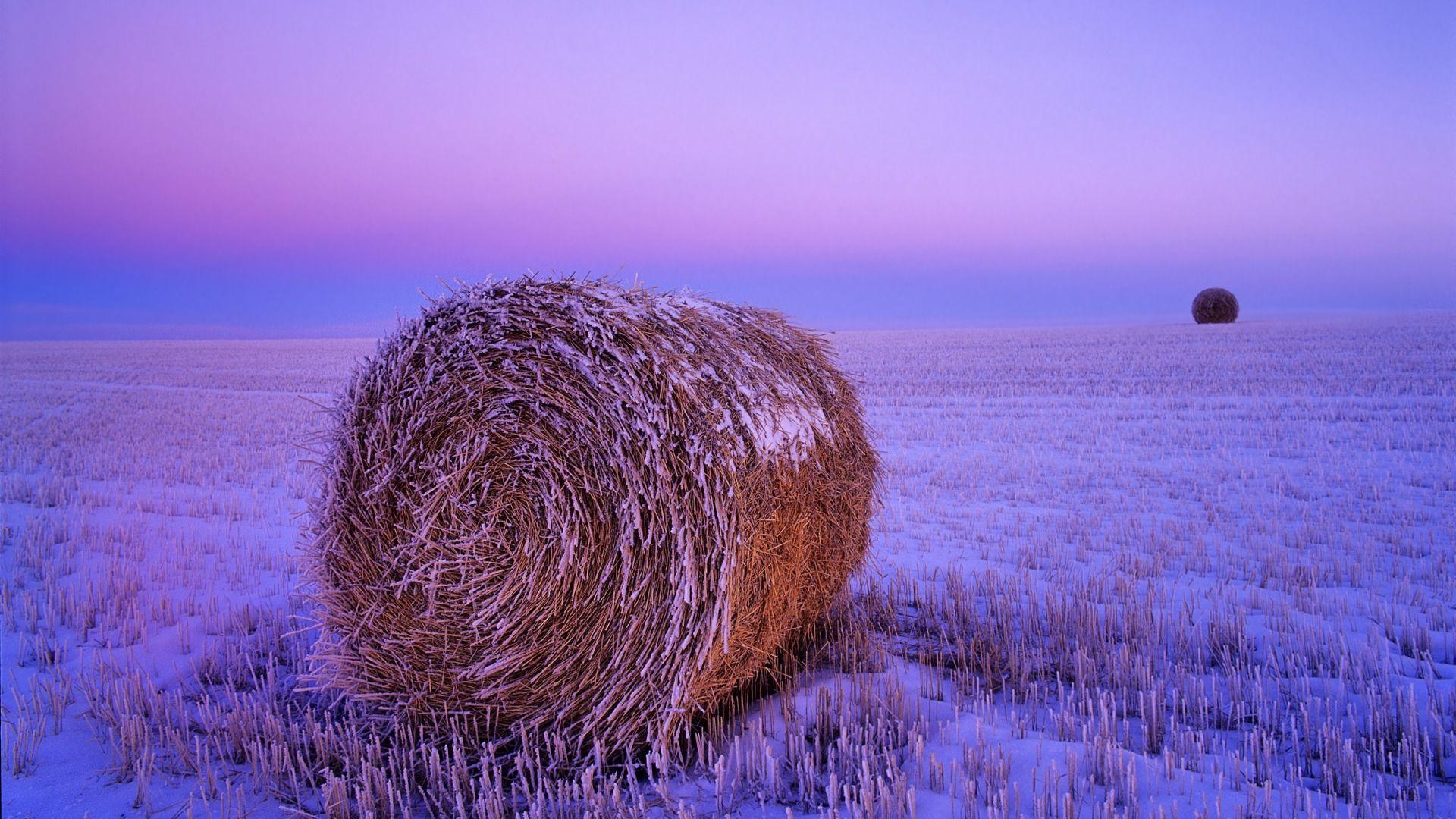 1920x1080 Snowy Haystack North Dakota Wallpaper · iBackgroundWallpaper, Desktop