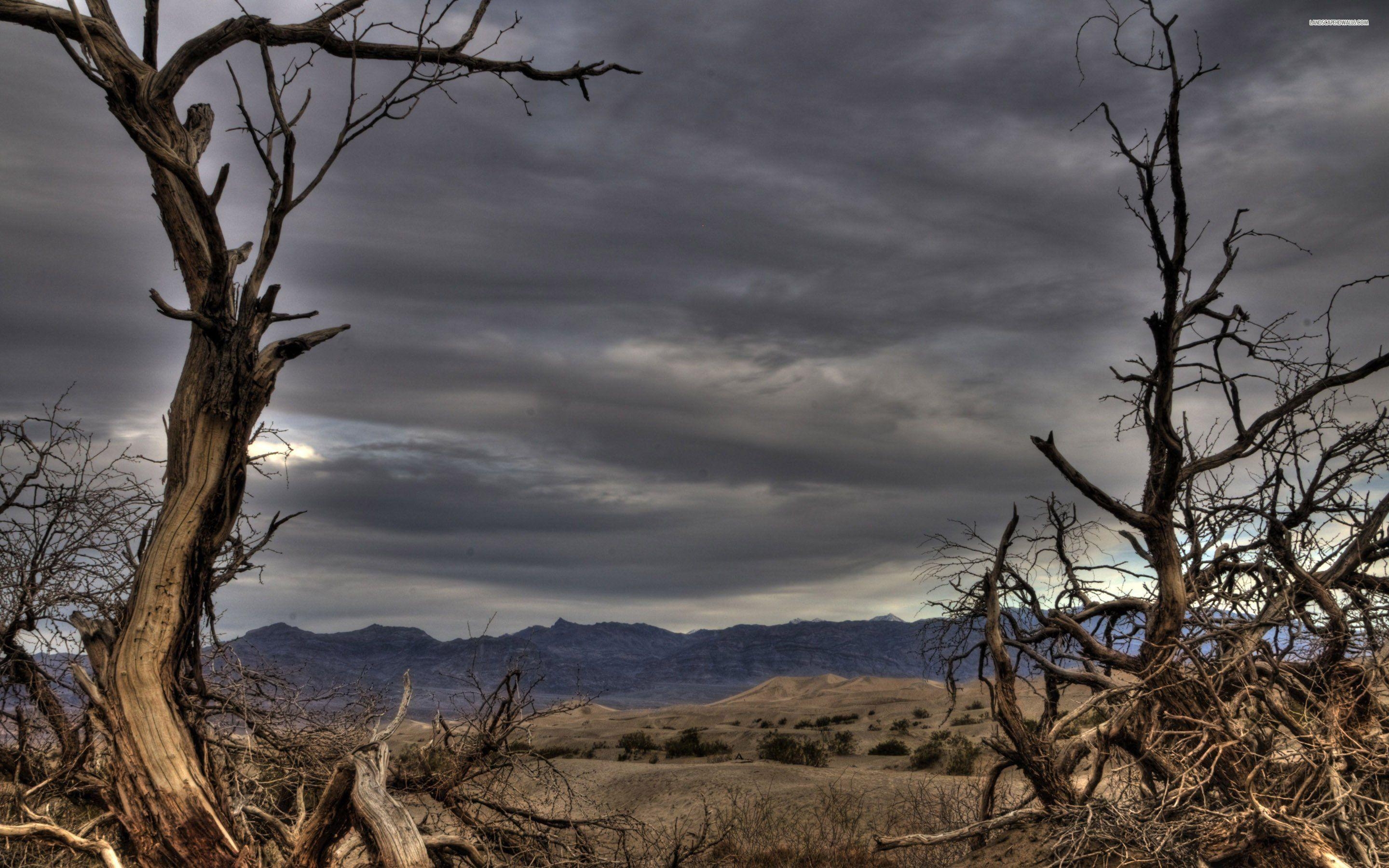 2880x1800 Dead Trees In Death Valley National Park, Desktop