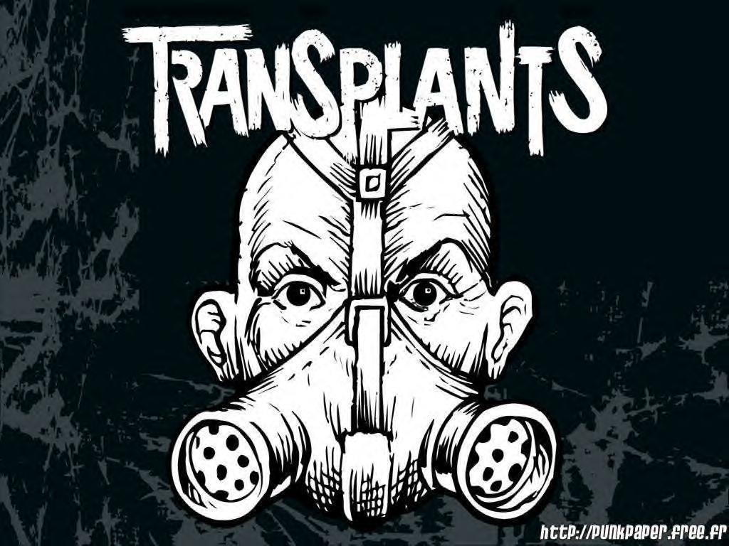 1030x770 Transplants. My Life's Soundtrack. Tim armstrong, Desktop