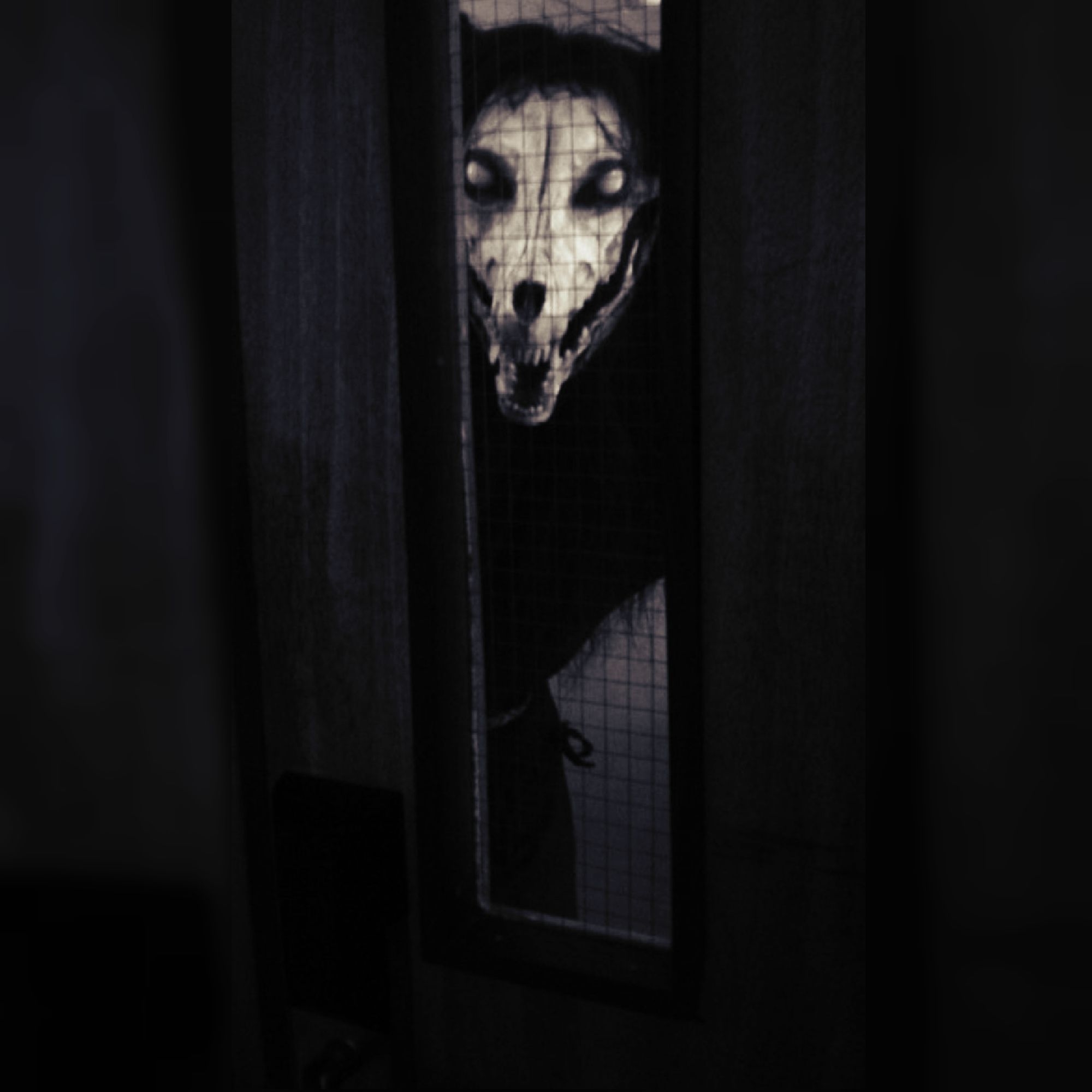 2000x2000 SCP 1471 A. Female Werewolves, Scp, Creepy Image, Phone