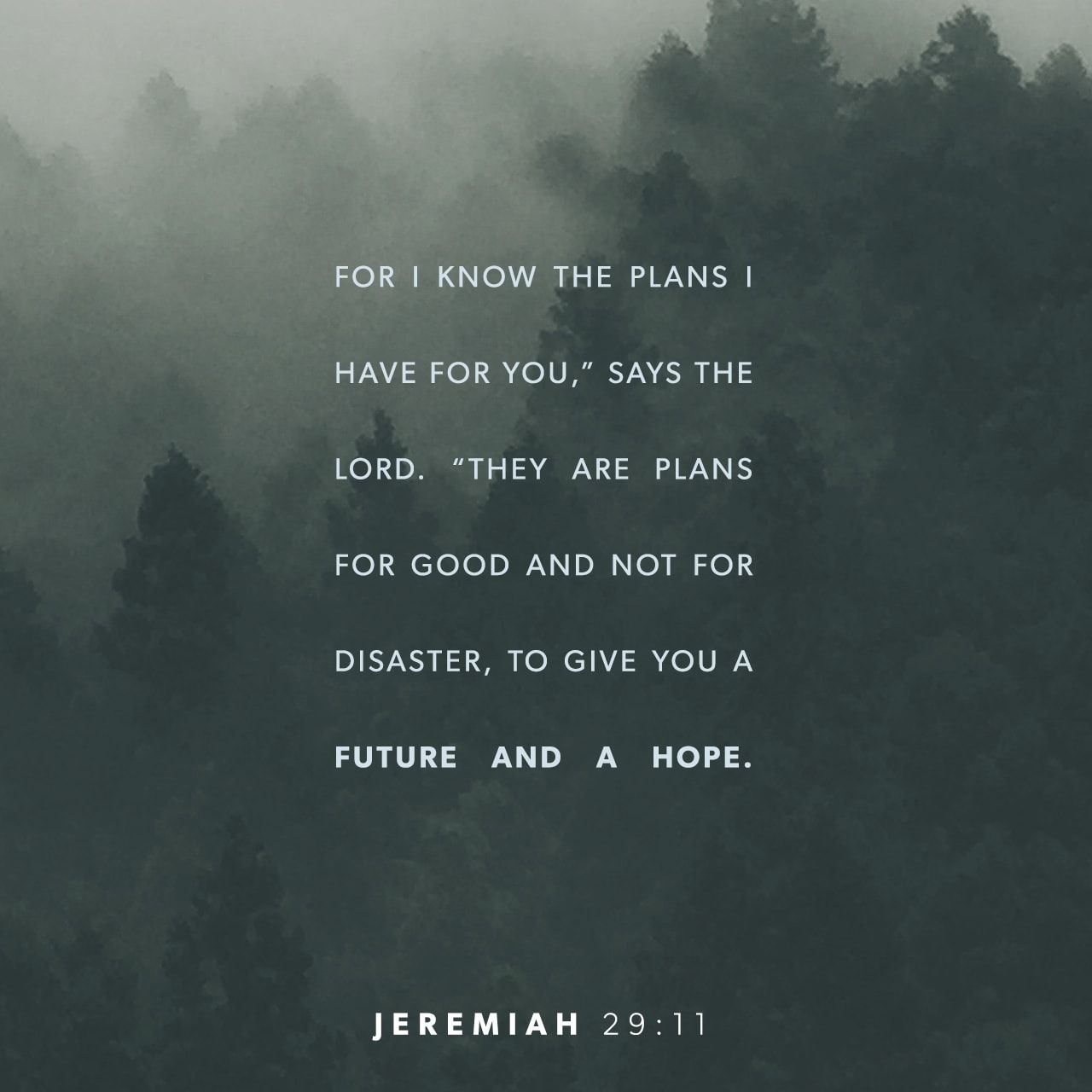 1280x1280 Jeremiah 29:11. Creative. Scripture Art. Free Church Resources from Life.Church, Phone