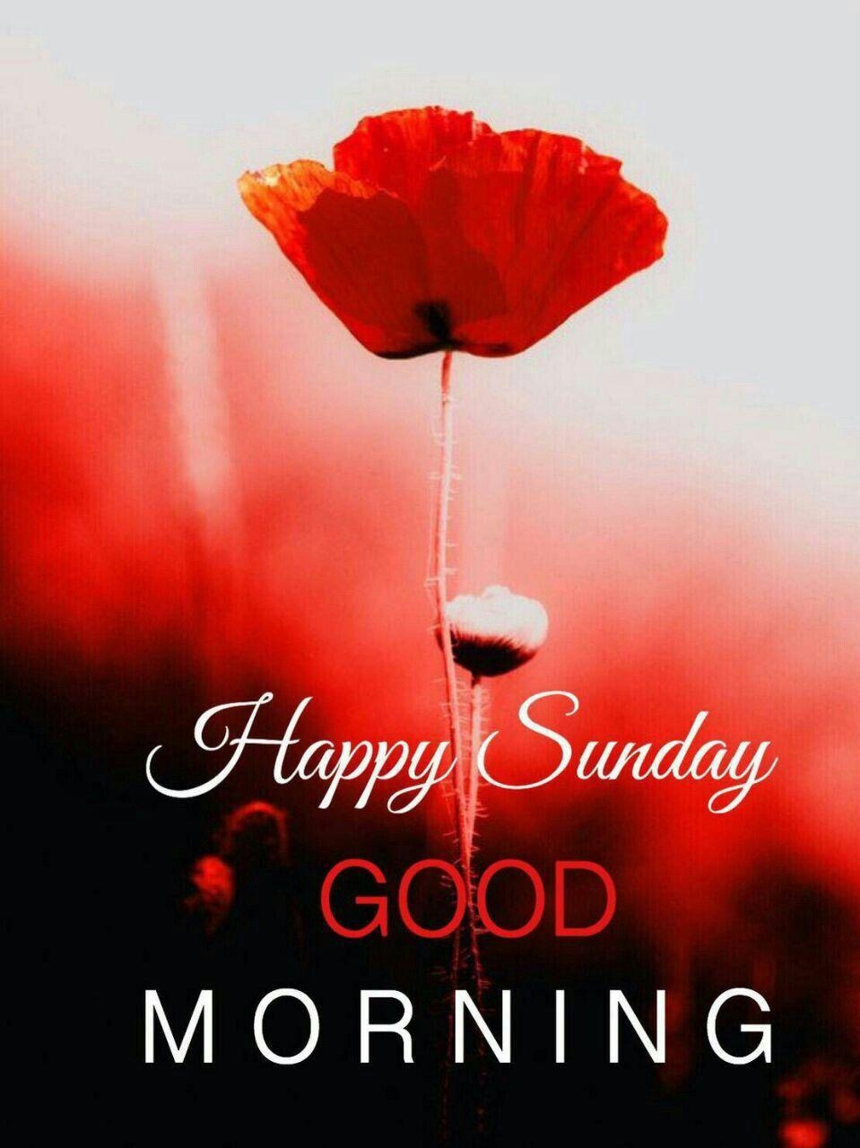 960x1280 Wishes. Happy sunday morning, Phone