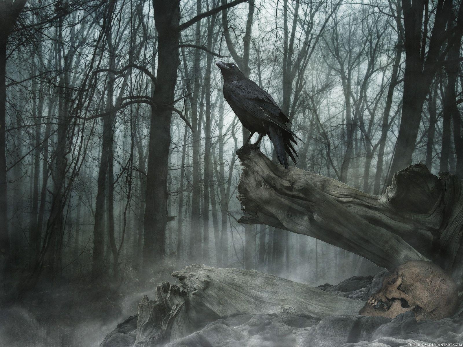 1600x1200 the raven Wallpaper Background, Desktop