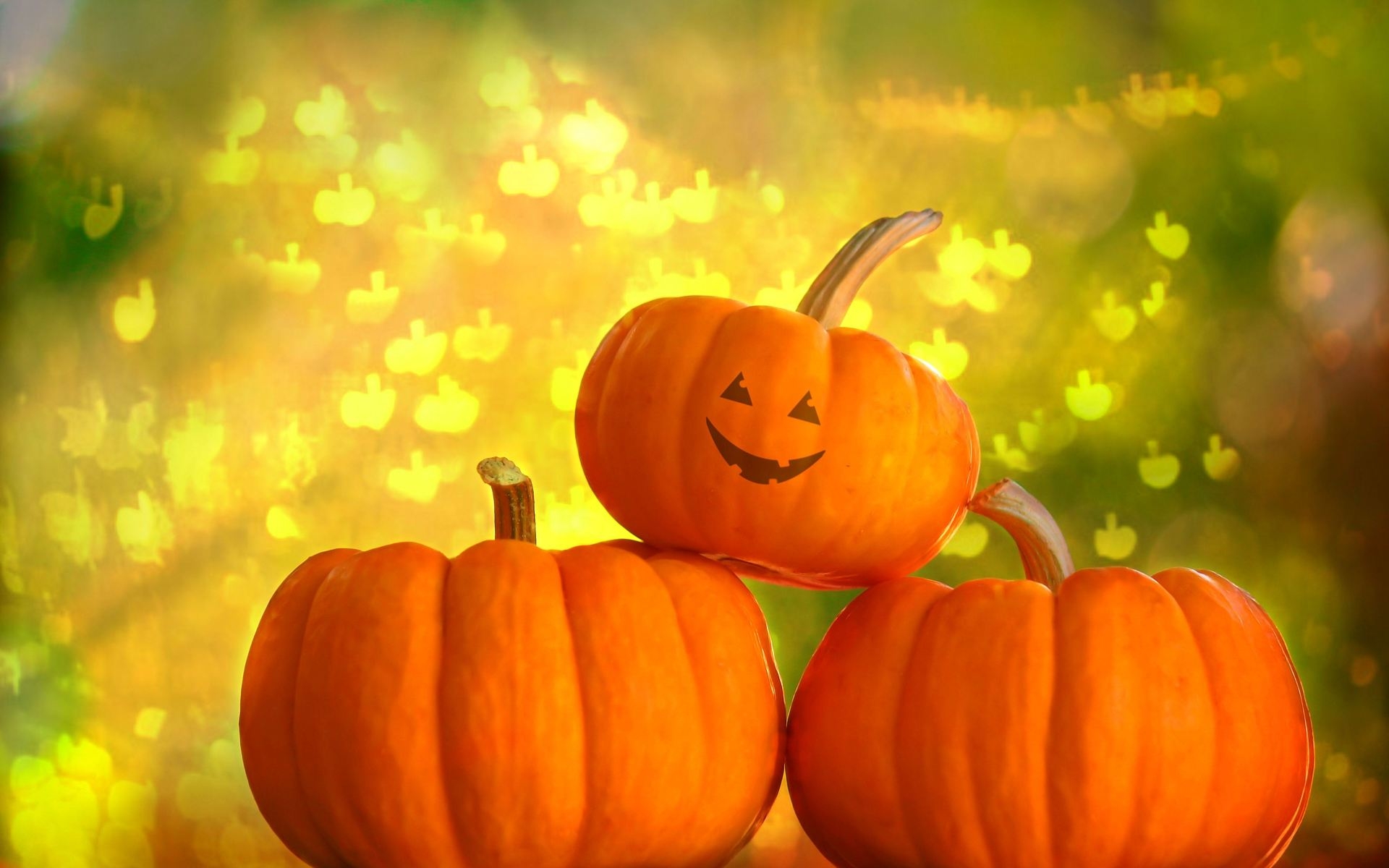 1920x1200 Pumpkin wallpaperx1200, Desktop