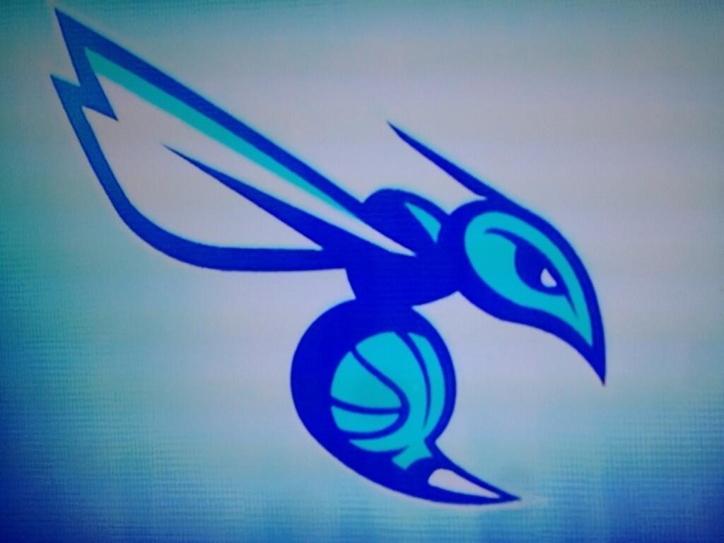 1030x770 Charlotte Hornets Desktop Wallpaper, Desktop