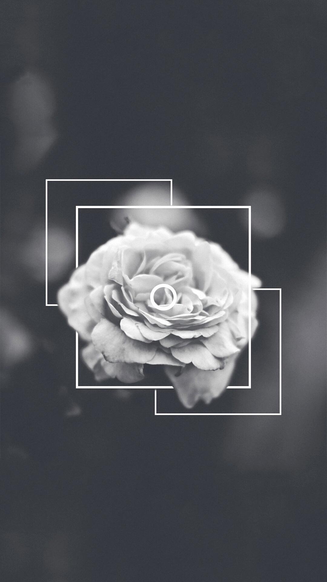 1080x1920 Wallpaper Tumblr iPhone Black And White Roses, Phone