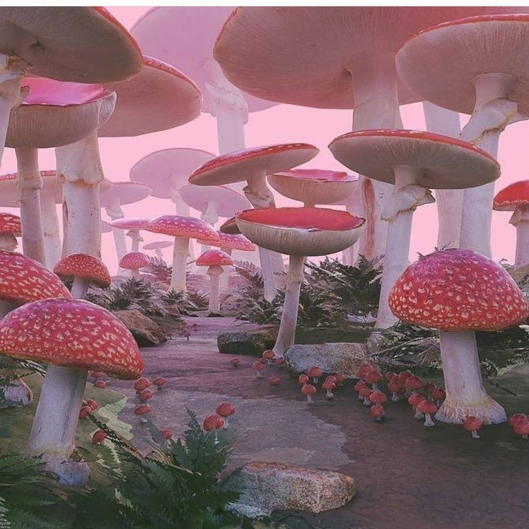 1080x1080 ✫*ﾟ・ﾟ｡. ˣᵃⁿᵈᵉʳ.*｡・ﾟ✫* on Instagram: “ #cottagecore #naturecore #fairycore #goblinco. Aesthetic art, Nature aesthetic, Aesthetic wallpaper, Phone