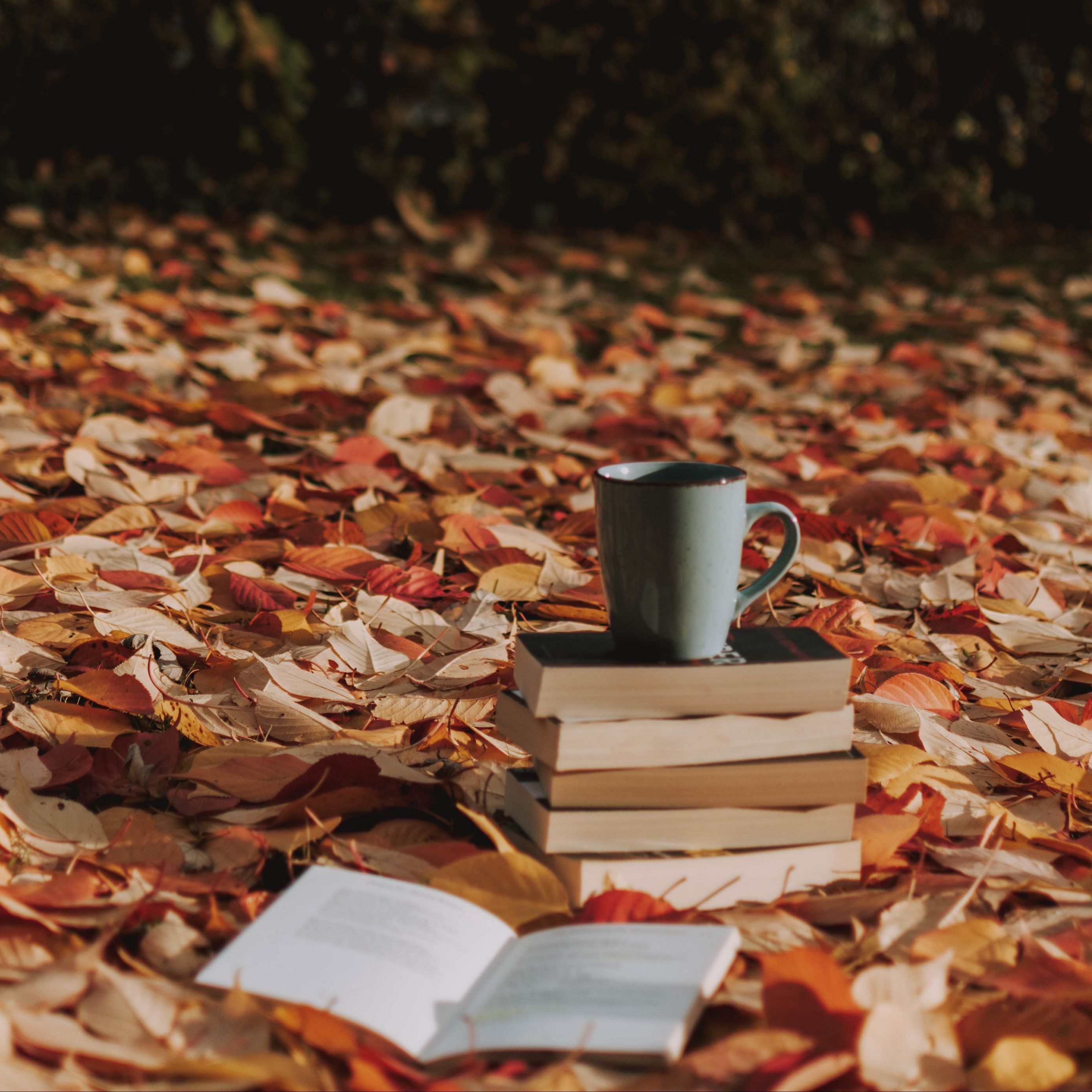 2780x2780 Download wallpaper  mug, books, foliage, autumn ipad air, ipad air ipad ipad ipad mini ipad mini ipad mini ipad pro 9.7 for parallax HD background, Phone