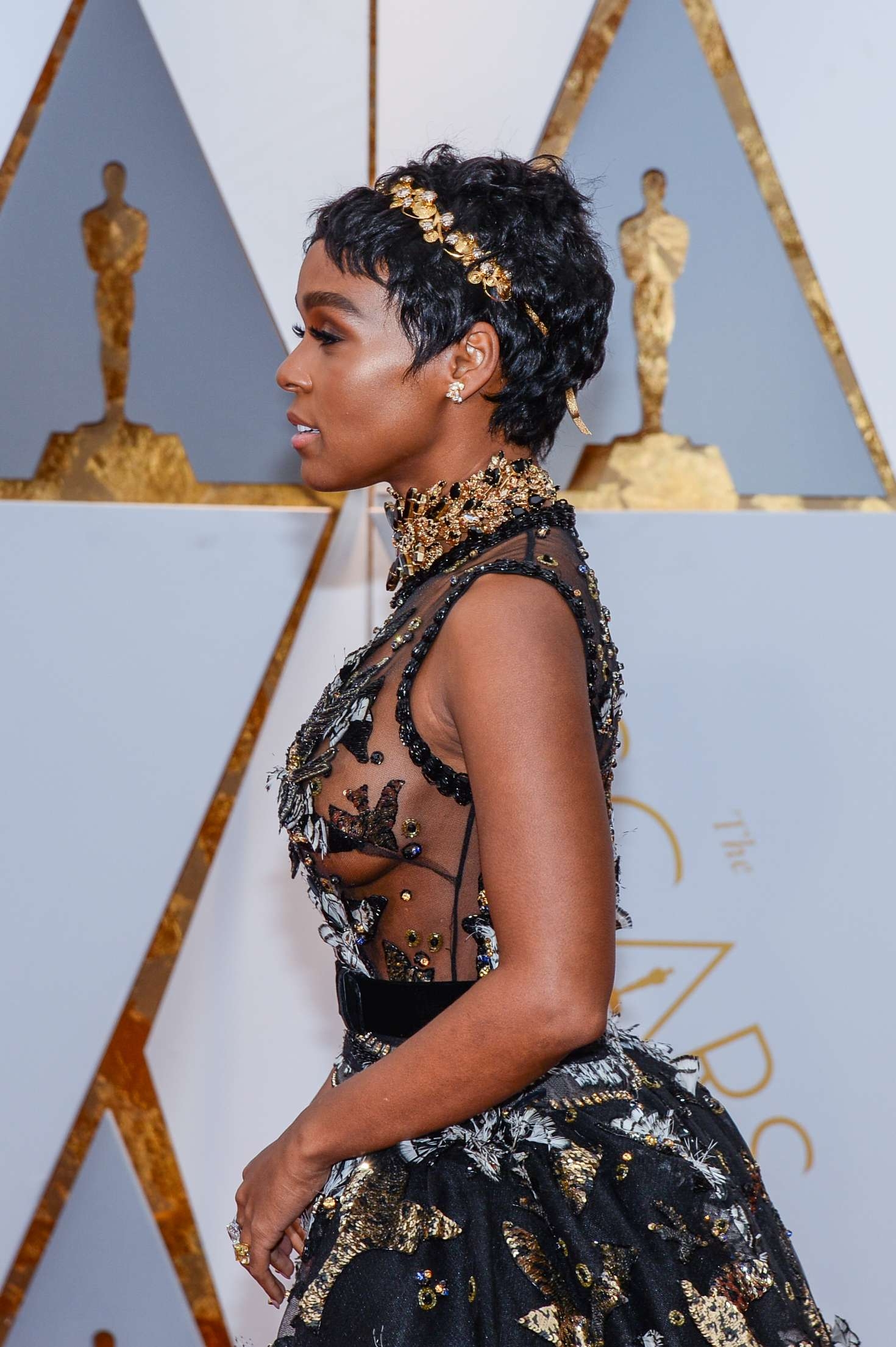 1470x2210 Janelle Monae: 2017 Academy Awards -09, Phone