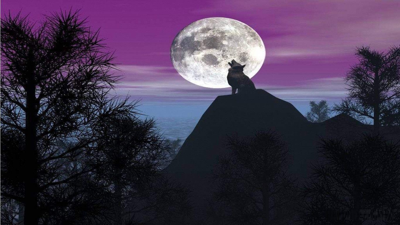 1370x770 Wolf Howling At The Moon Wallpaper, Desktop