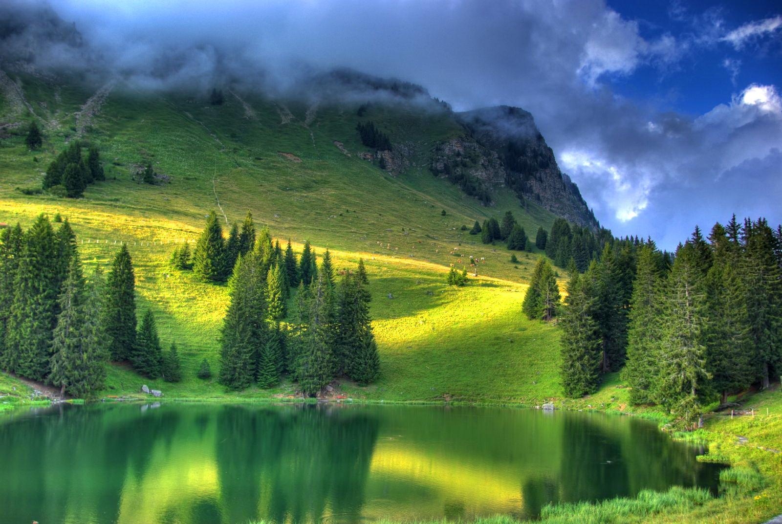 1600x1080 HD Small emerald pond Wallpaper, Desktop