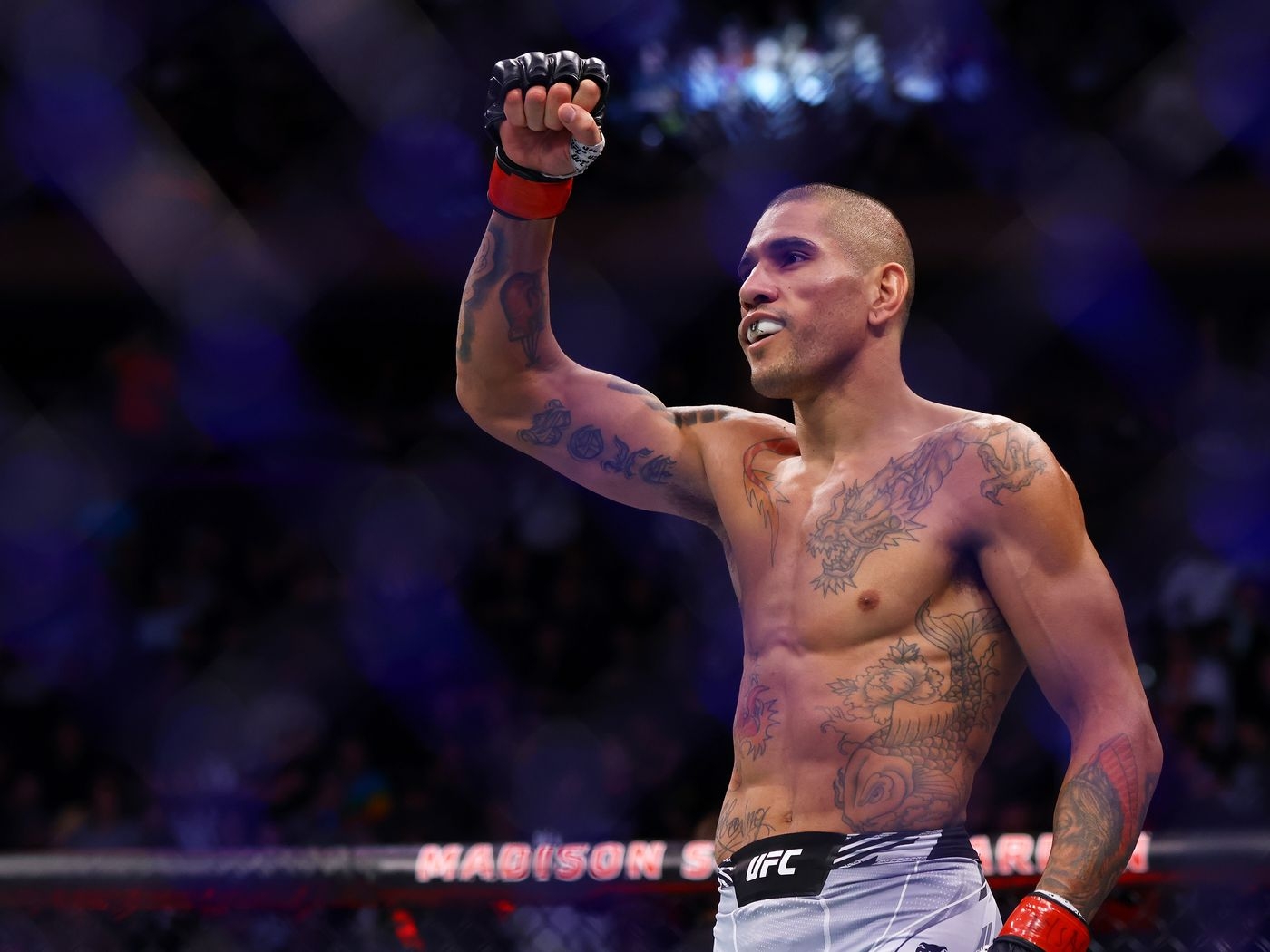 1400x1050 Glover Teixeira: Alex Pereira 'three fights' away from fighting Israel Adesanya again, Desktop