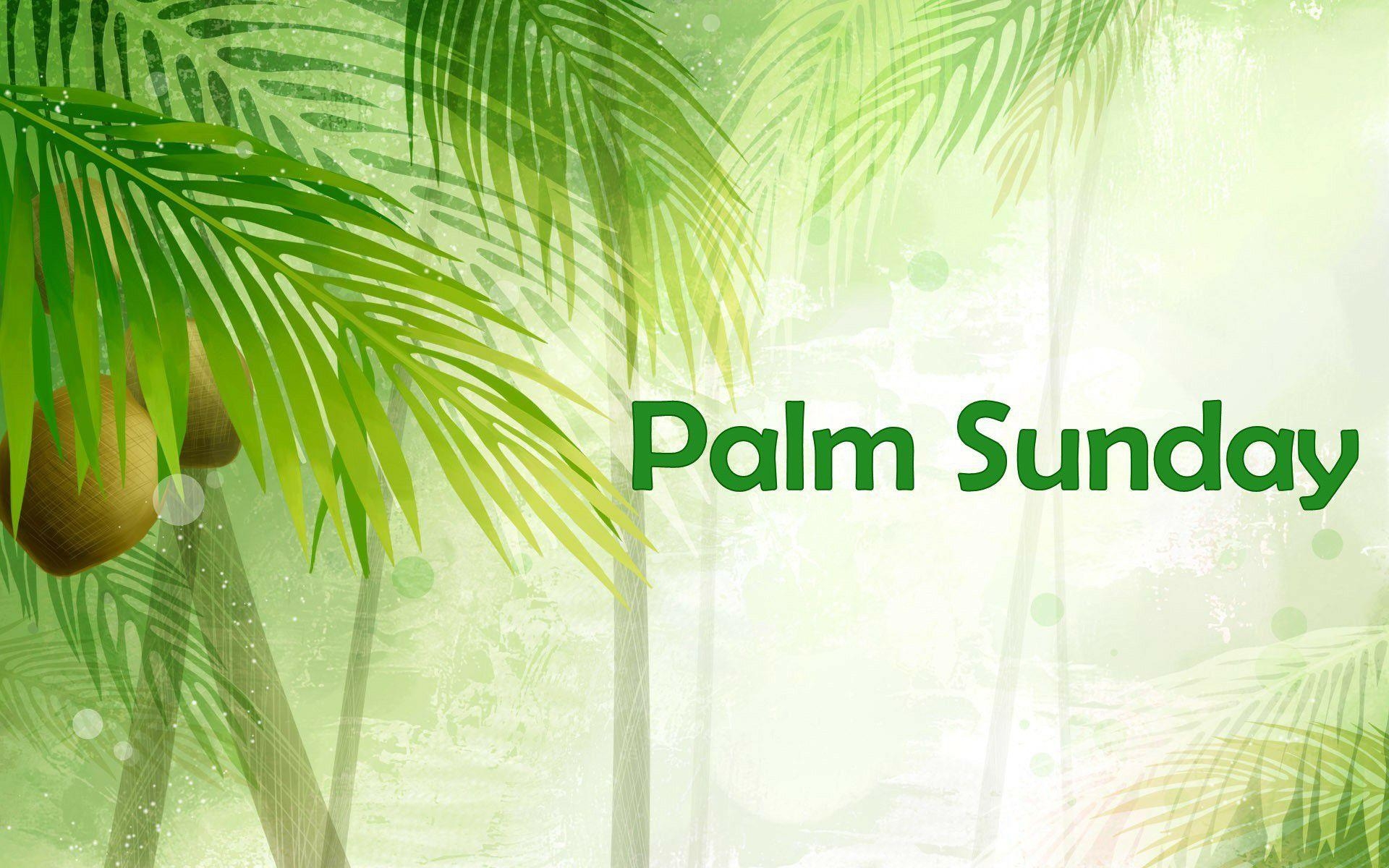 1920x1200 Palm Sunday Wallpaper For iPhone, Desktop