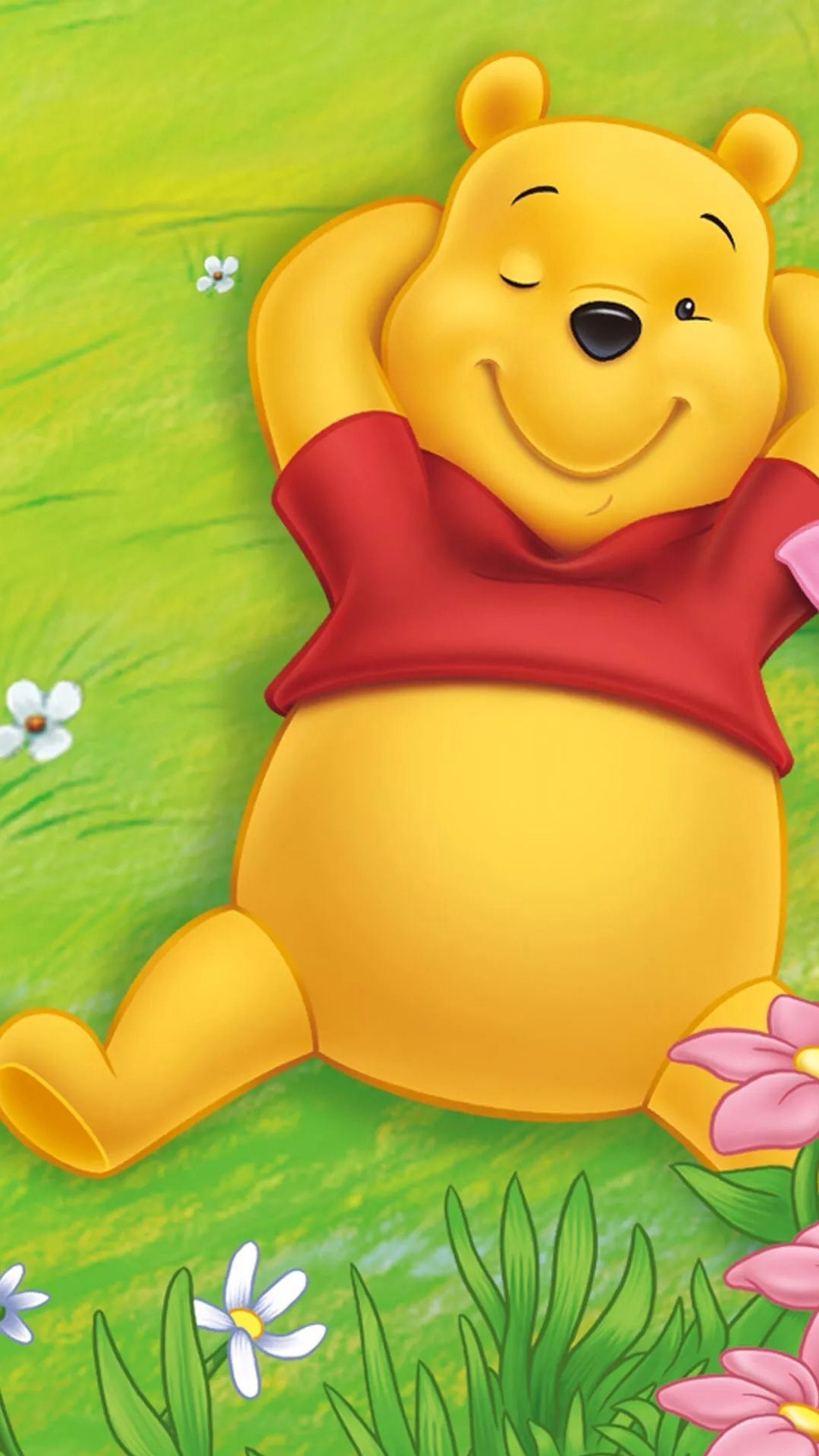 1080x1920 Winnie The Pooh Lying On The Grass And Sunning.#winnie The, Phone