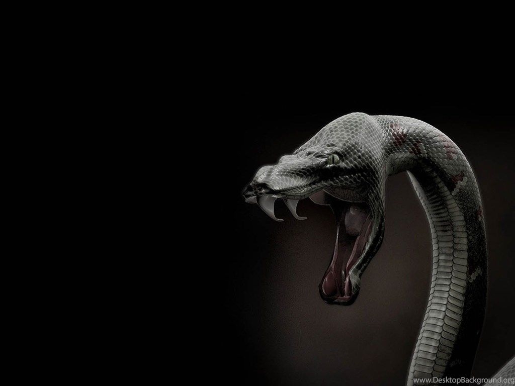 1030x770 Black Monster Snake 3D Wallpaper HD Desktop Background, Desktop