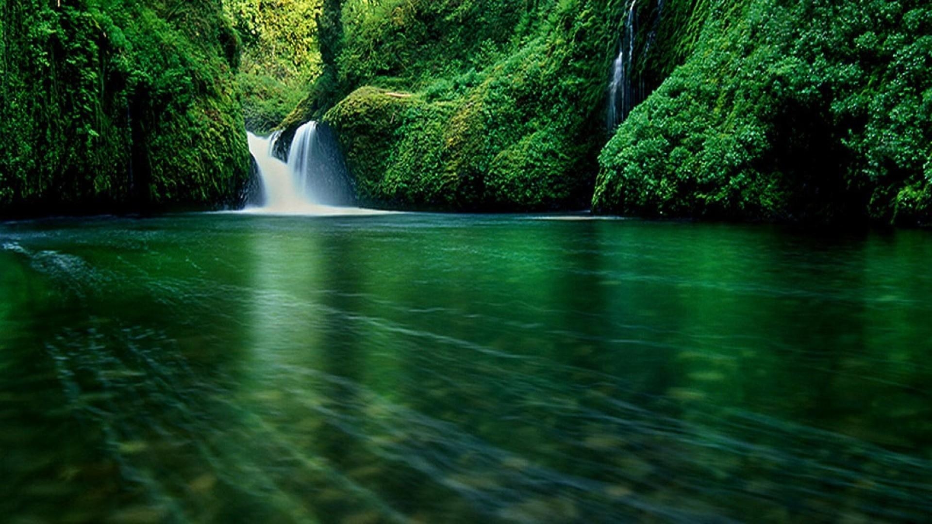 1920x1080 Waterfall Forest Wallpaper, Desktop