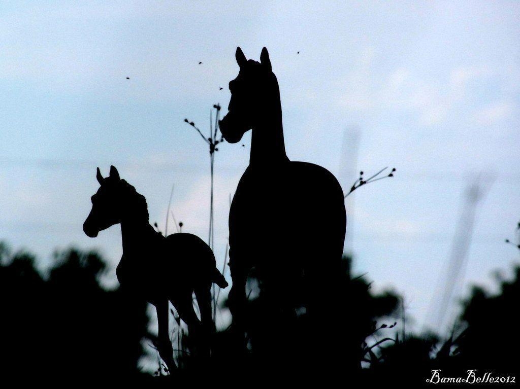 1030x770 Zenyatta and Cozmic One Silhouette, Desktop