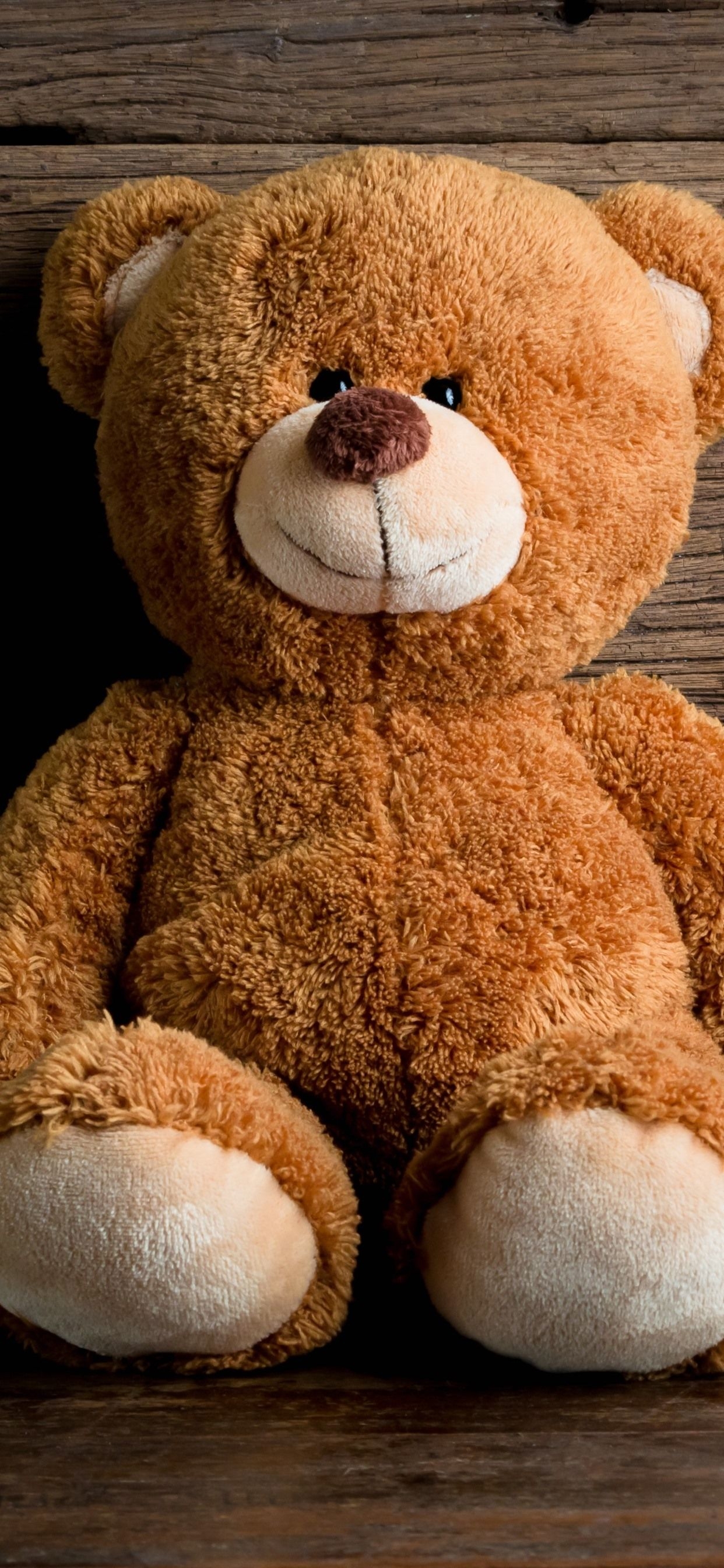 1250x2690 Cute Teddy Bear, Toy  IPhone 11 Pro XS Max Wallpaper, Phone