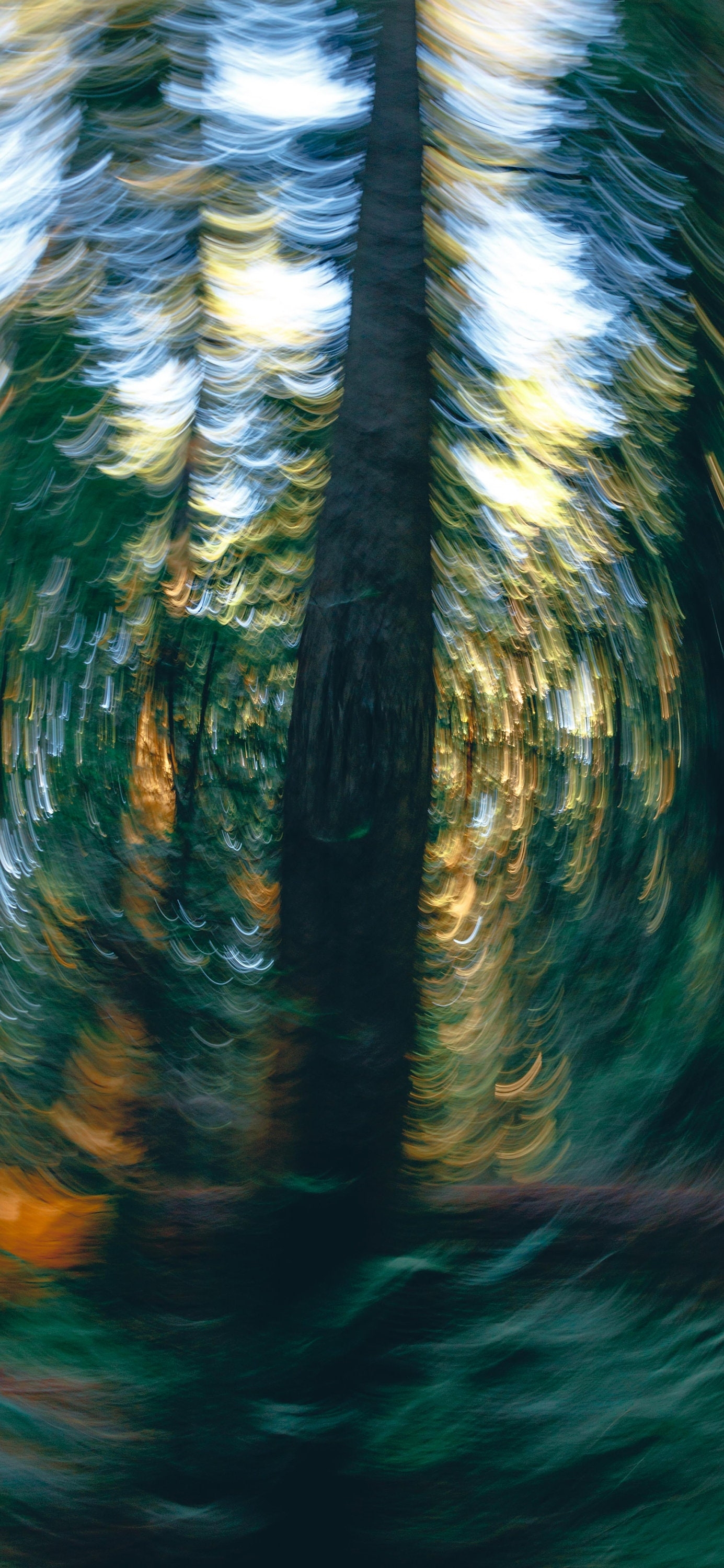 1390x3000 Redwood Forest Abstract Wallpaper iPhone 13 All Models, Phone