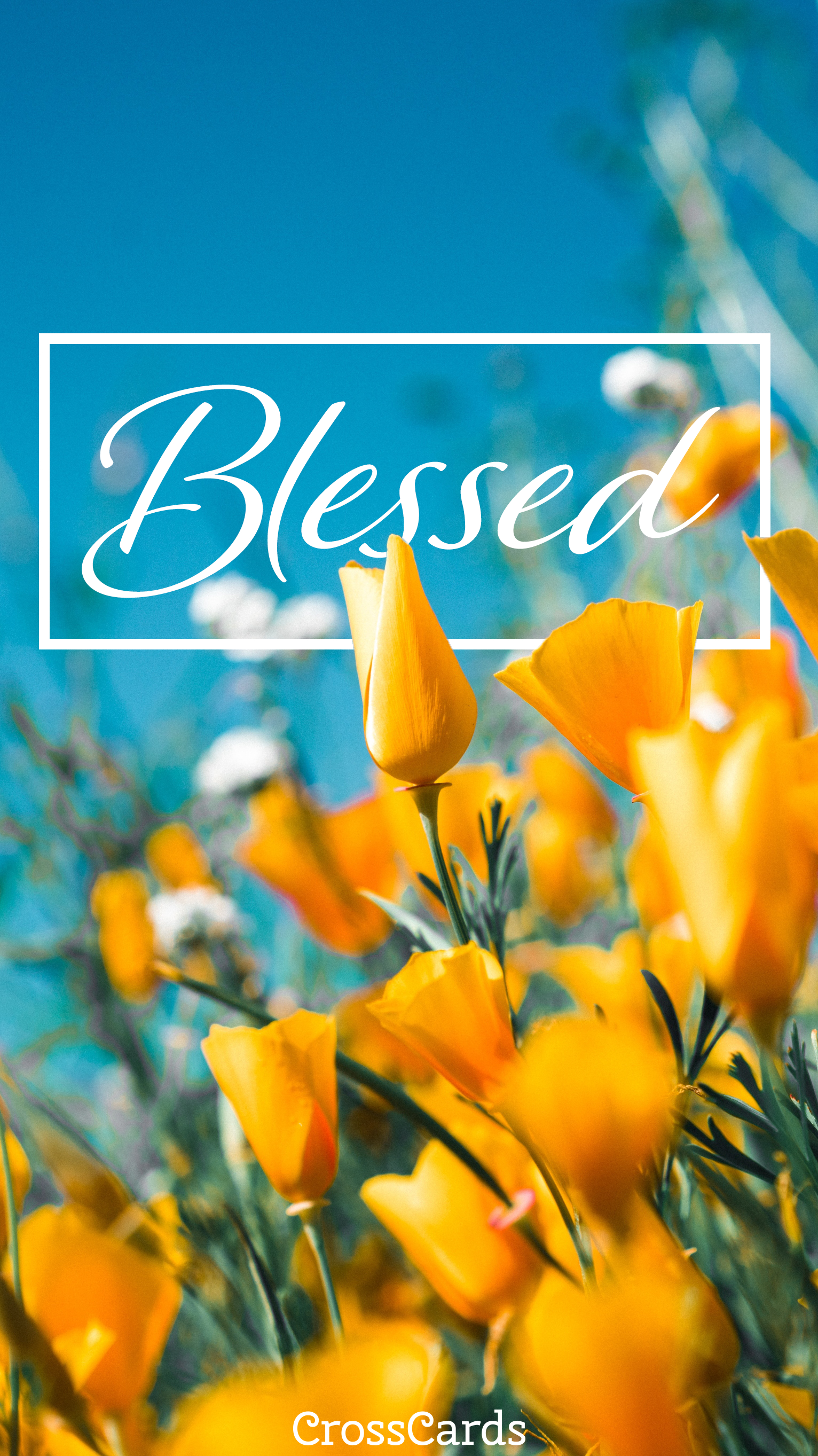 1540x2730 Blessed wallpaper Wallpaper and Mobile Background, Phone