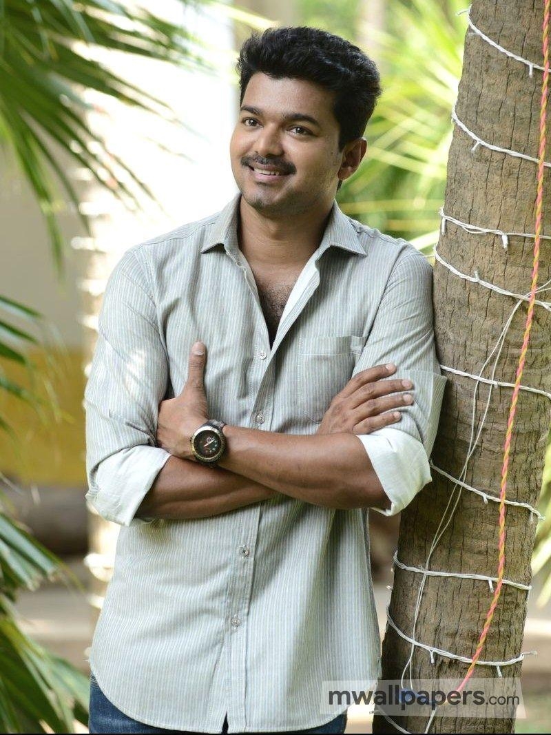 800x1070 Vijay Image, HD Photo (1080p), Wallpaper (Android, Phone