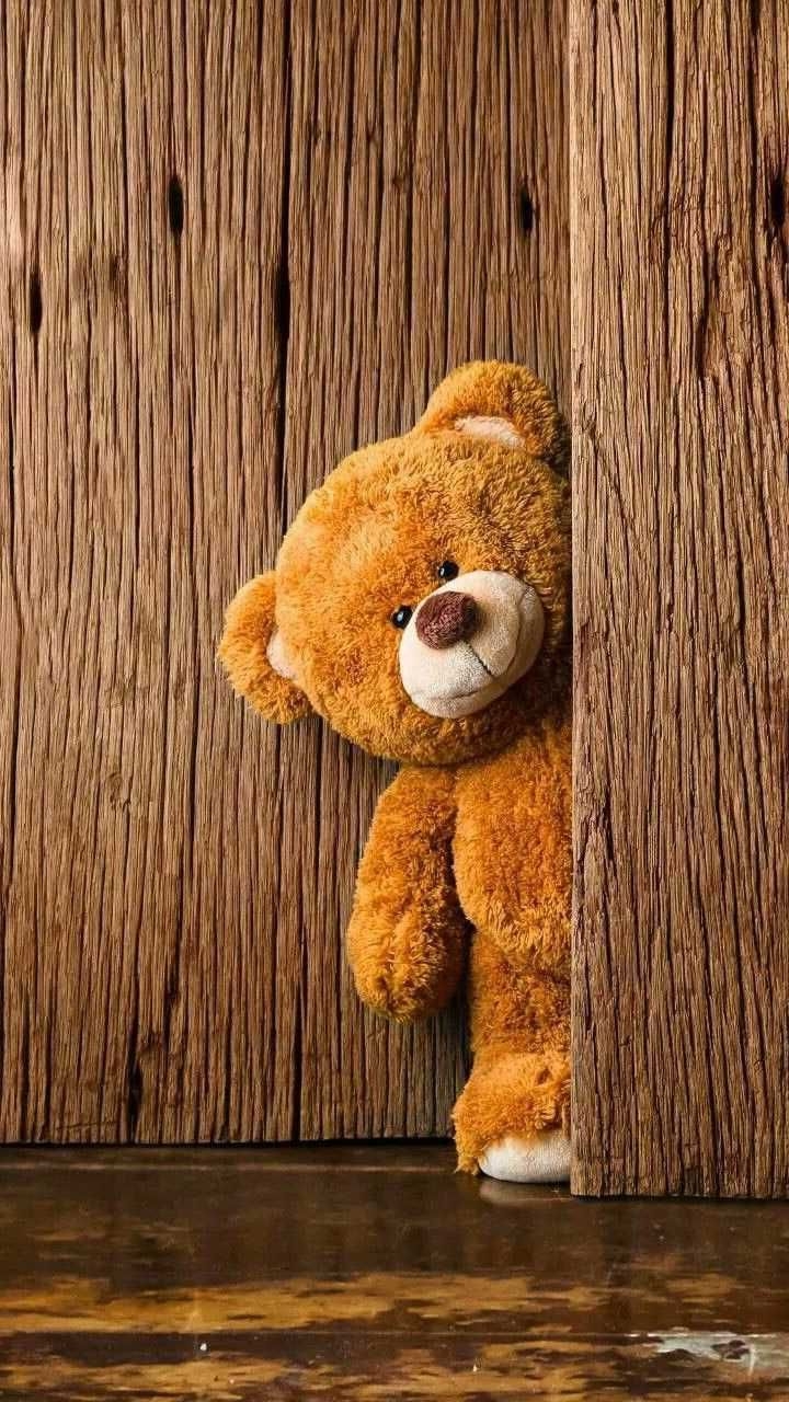 720x1280 Teddy bear wallpaper, Bear wallpaper, Teddy bear, Phone