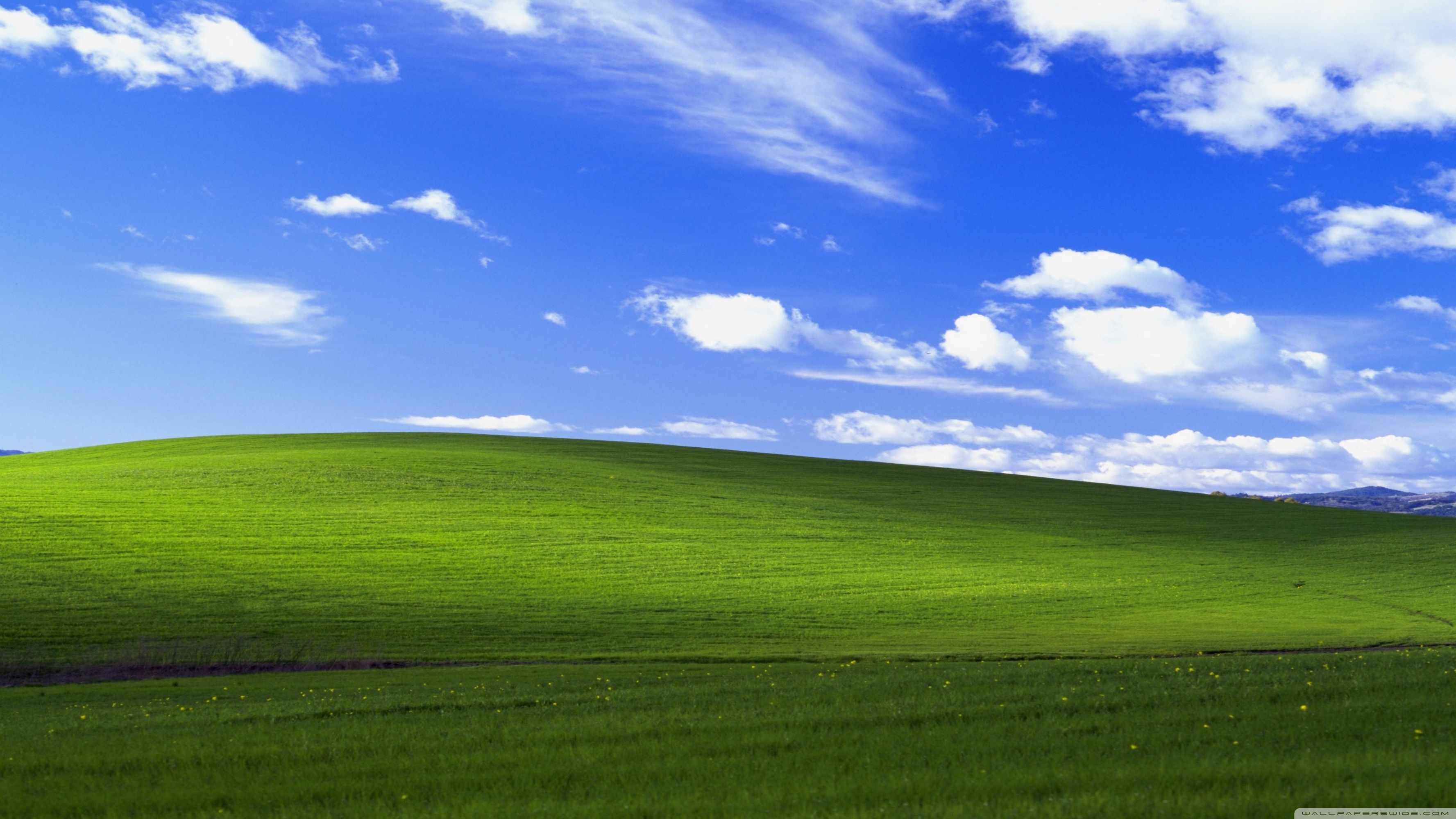 3560x2000 Windows XP Ultra HD Desktop Background Wallpaper for 4K UHD TV, Widescreen & UltraWide Desktop & Laptop, Tablet, Desktop