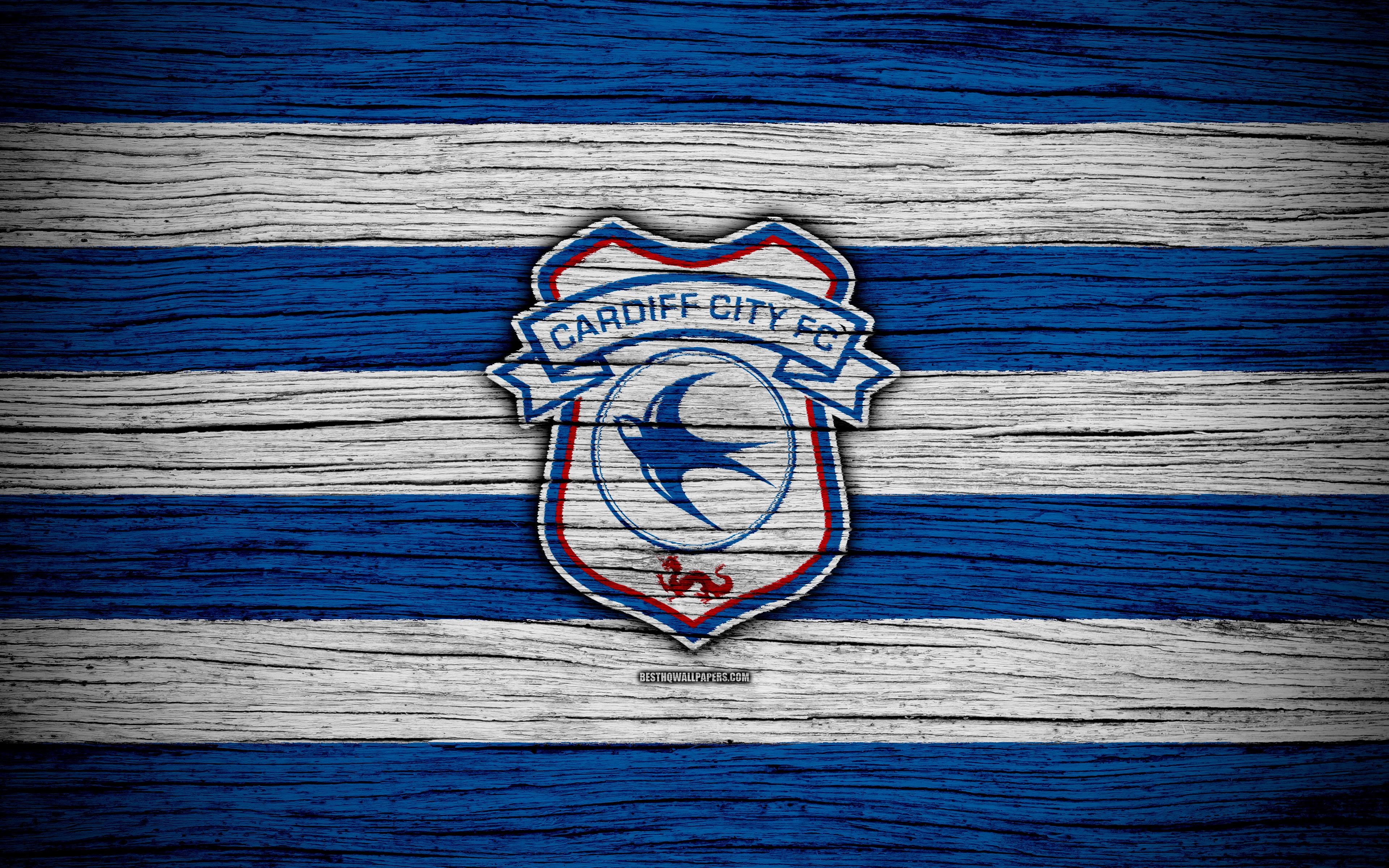 3840x2400 Download wallpaper Cardiff City FC, 4k, EFL Championship, soccer, Desktop