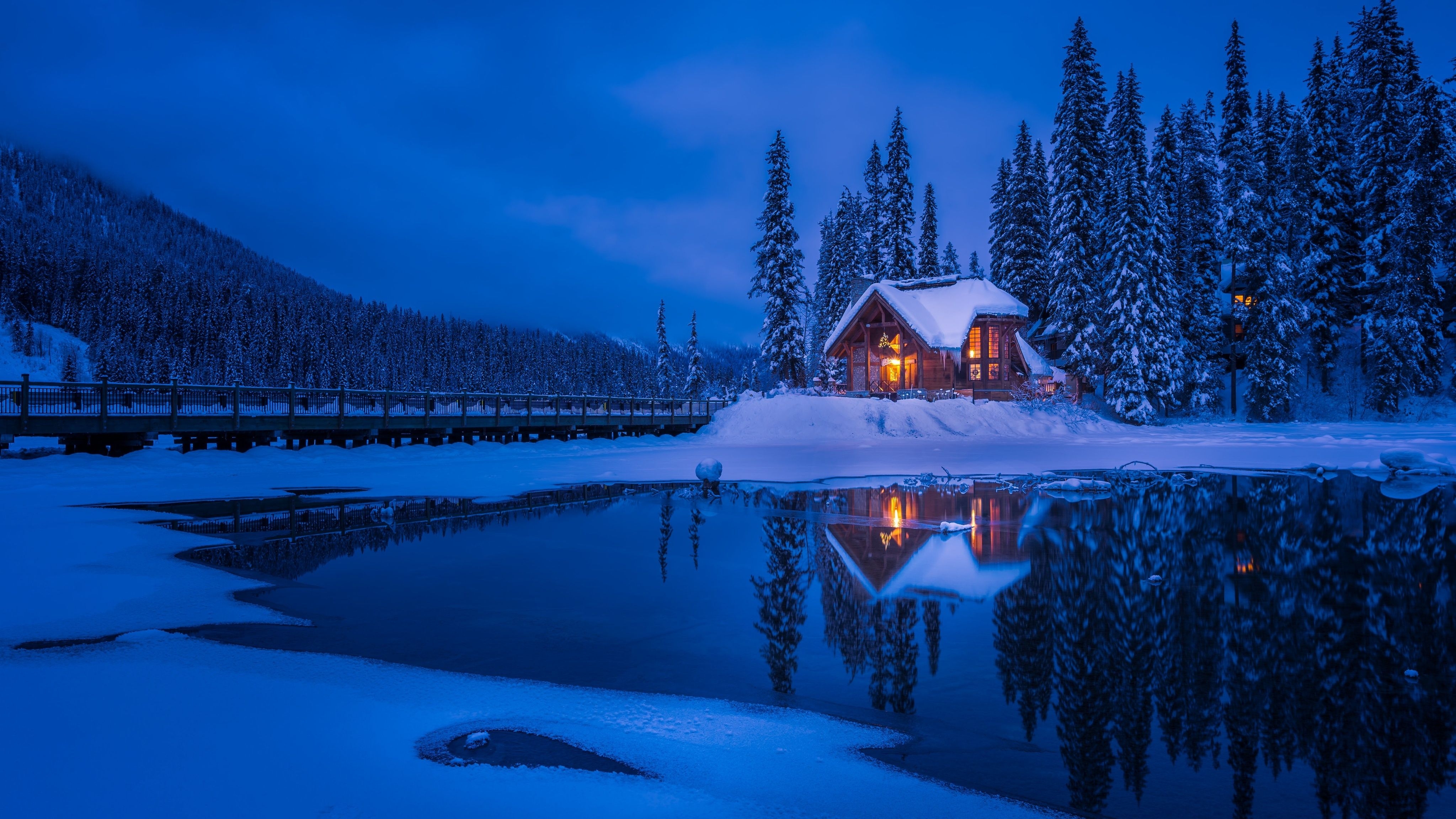 4100x2310 Forest House Covered in Snow 4K 2560x1080 Resolution Wallpaper, HD Nature 4K Wallpaper, Image, Photo and Background, Desktop