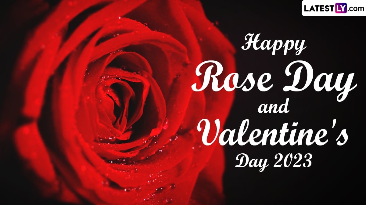 1200x680 Wishes for Rose Day 2023, Desktop