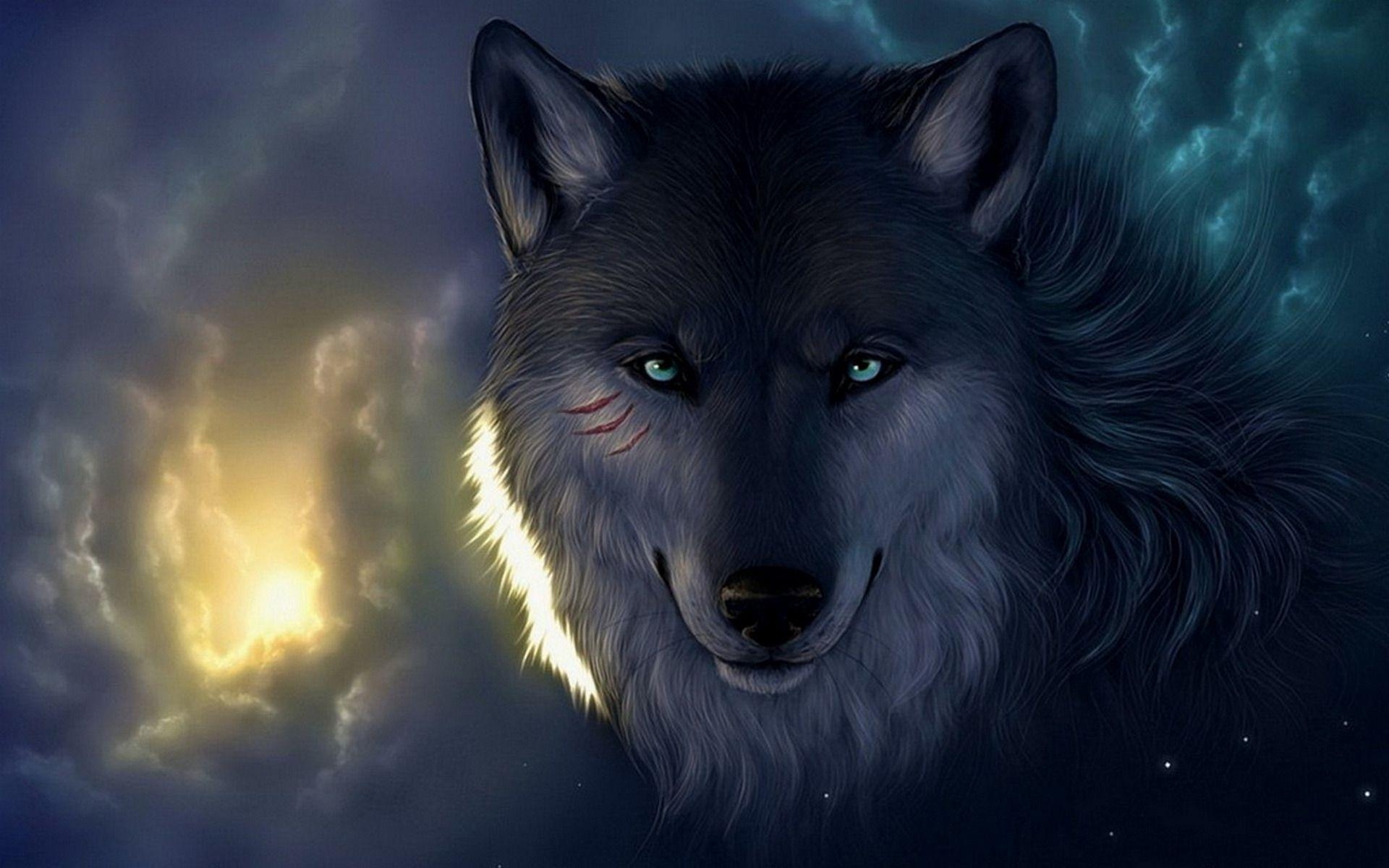 1920x1200 Wolf HD Wallpaper, Desktop