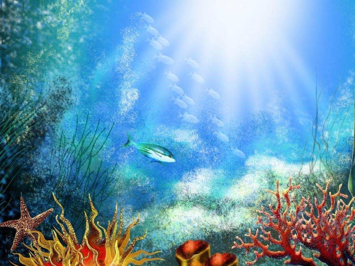 1160x870 Hd Ocean Life Wallpaper, Desktop