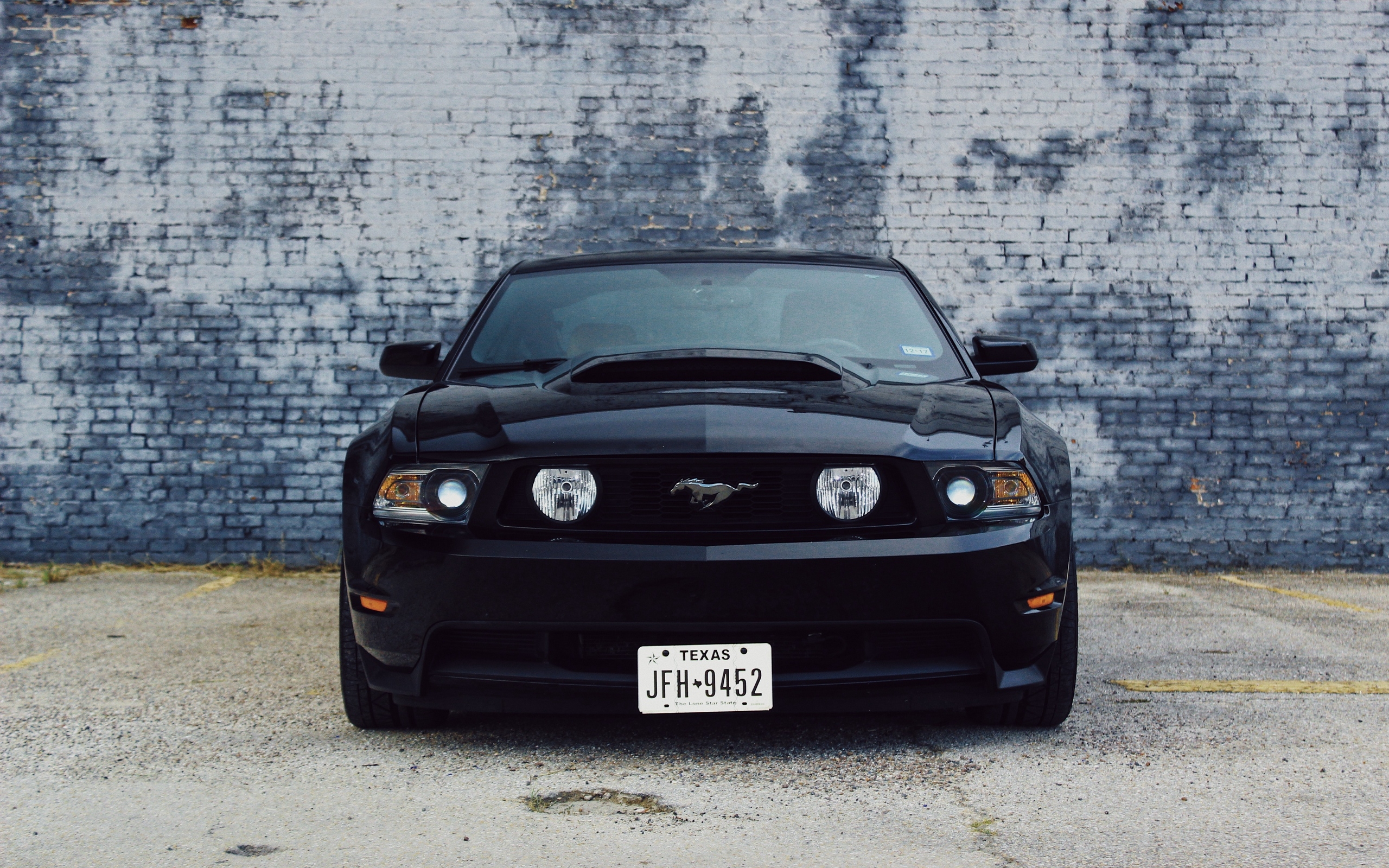 2560x1600 Wallpaper of Ford Mustang, Car, Black, Front View background & HD image, Desktop