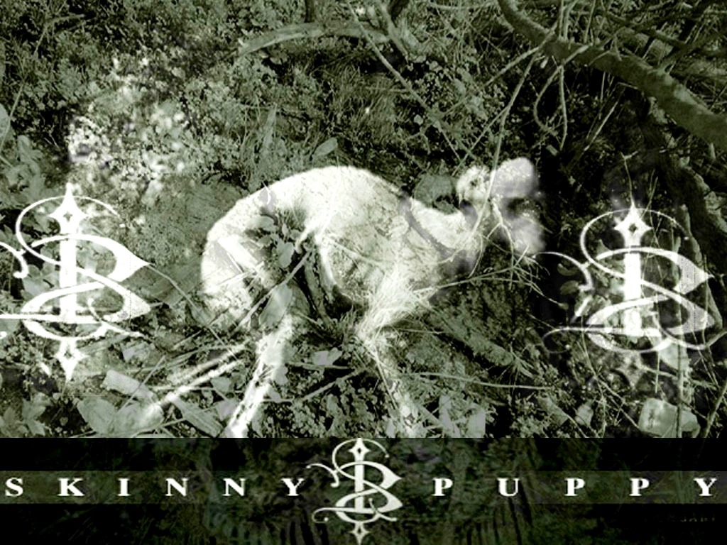 1030x770 Skinny Puppy. free wallpaper, music wallpaper, desktop backrgounds!, Desktop