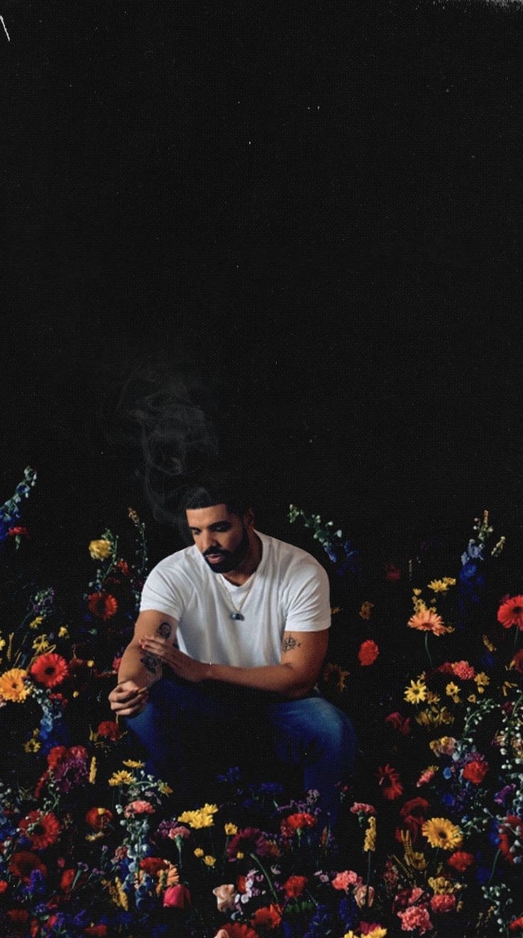 740x1320 Drizzy Drake. Drake wallpaper, Drake photo, Photo and video editor, Phone