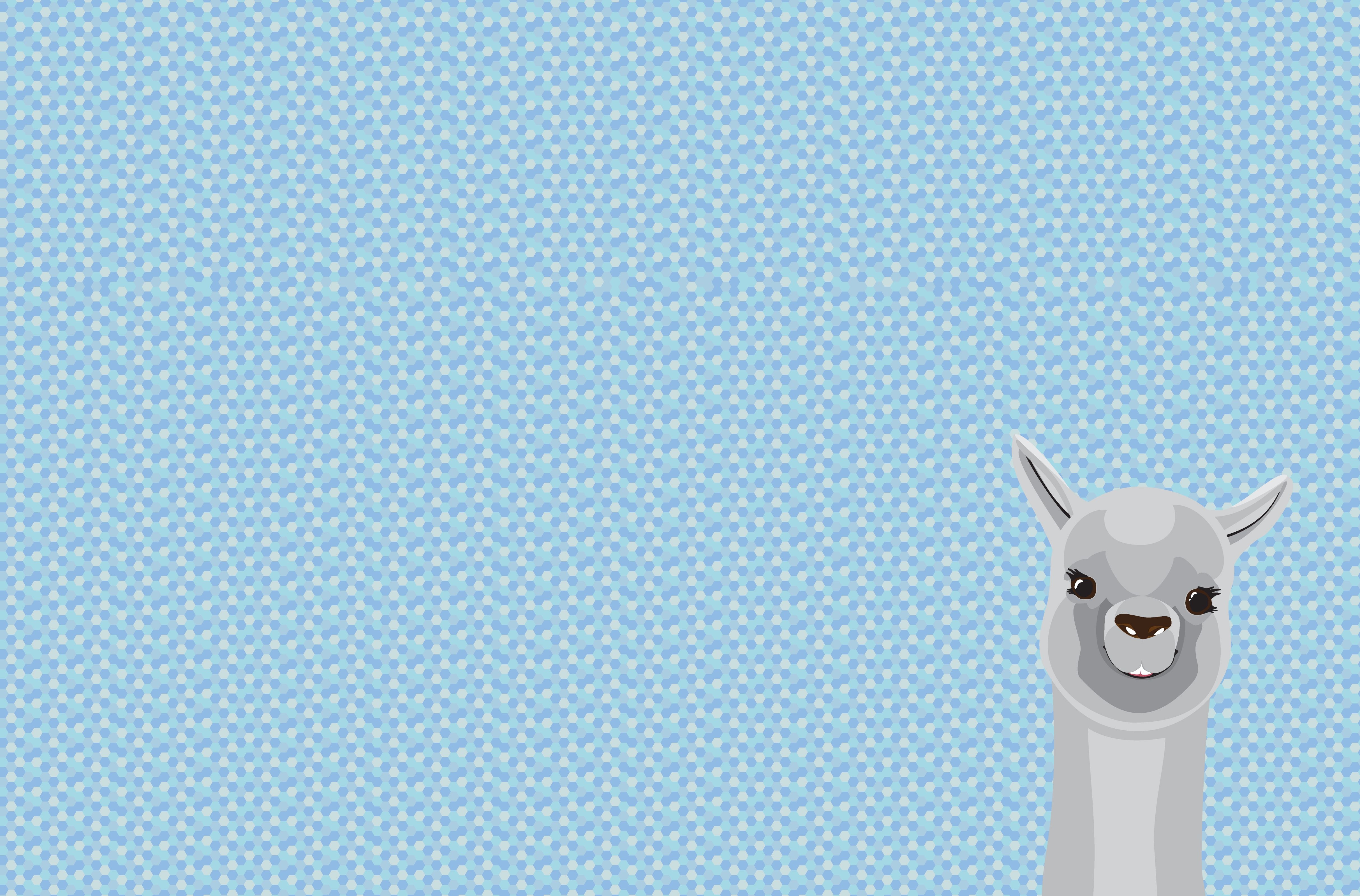 4860x3200 Llama Wallpaper Image, Desktop