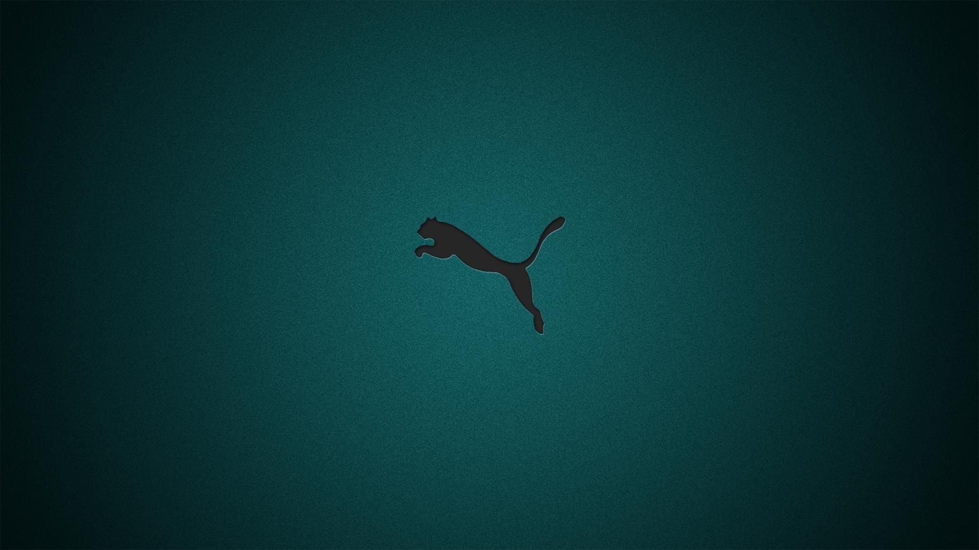 1920x1080 Puma Wallpaper 16474  px, Desktop