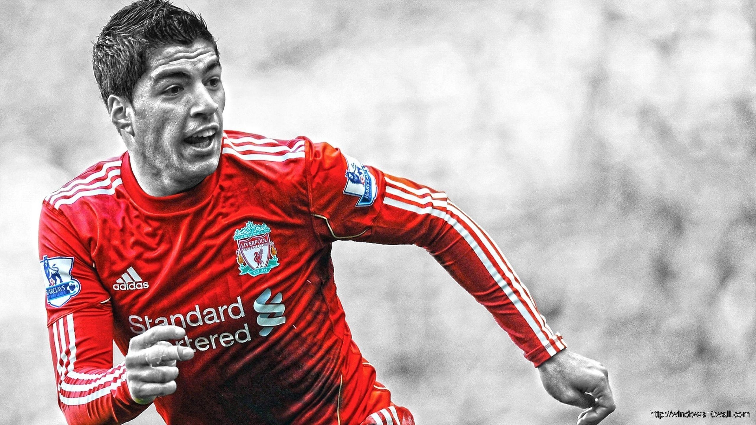 2560x1440 Luis Suarez 2014 Liverpool HD Wallpaper 10 Wallpaper, Desktop