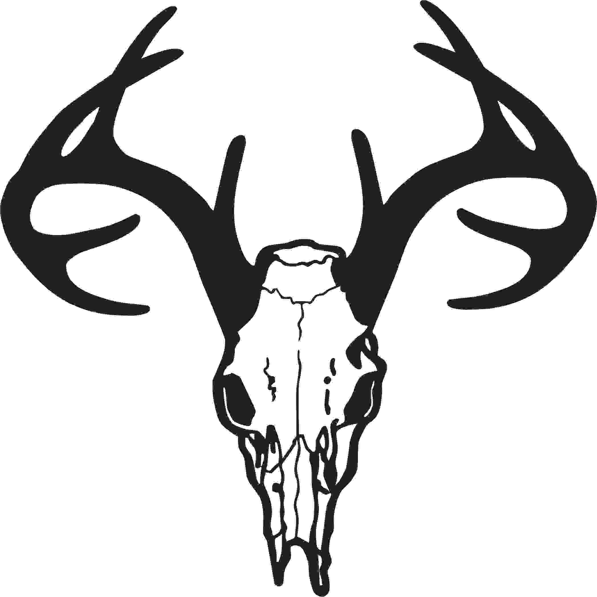 2100x2100 Deer Skull Drawing Free Clipart Image Skull Vector Png, Phone